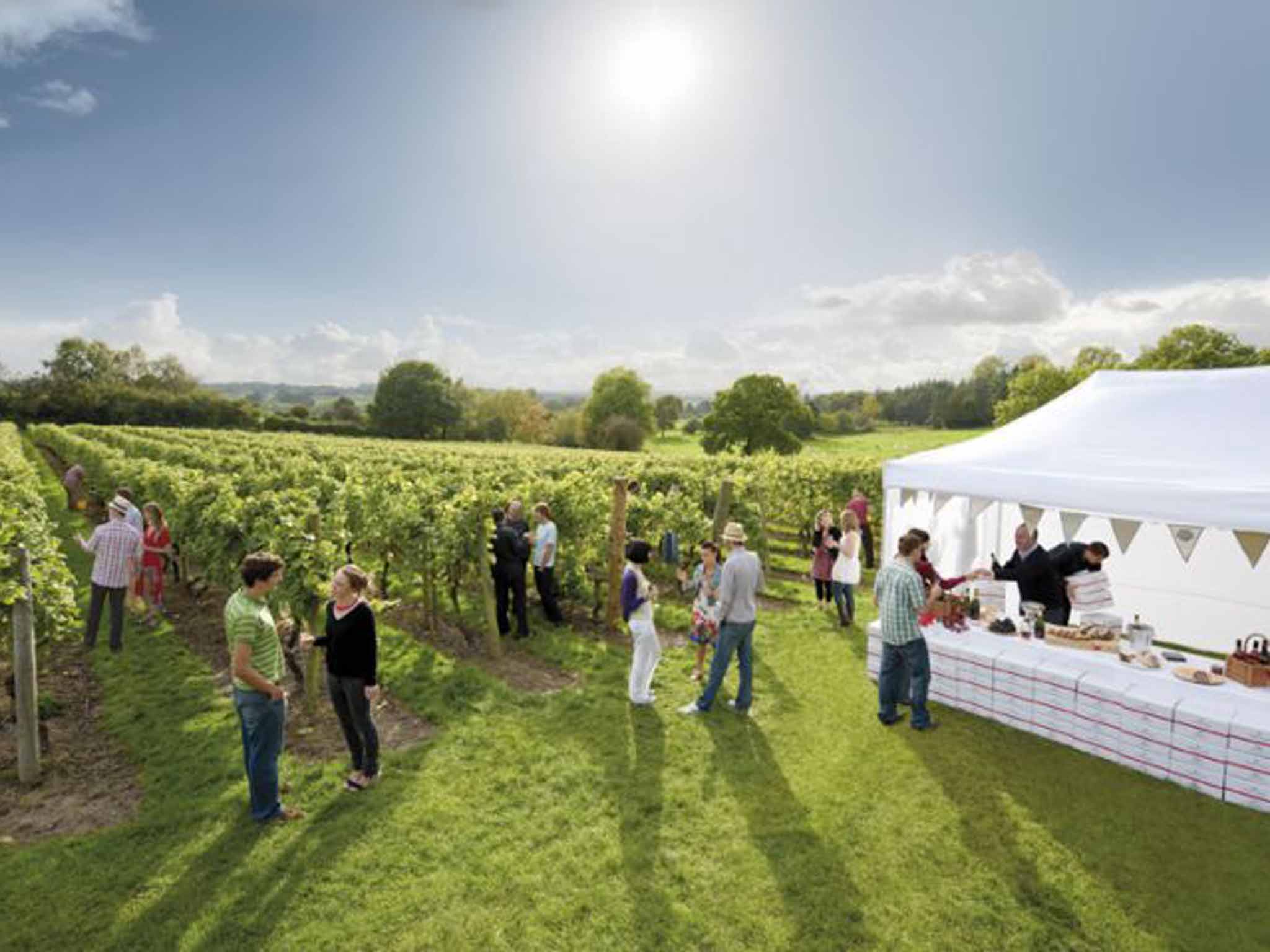 Kent's new wine trail