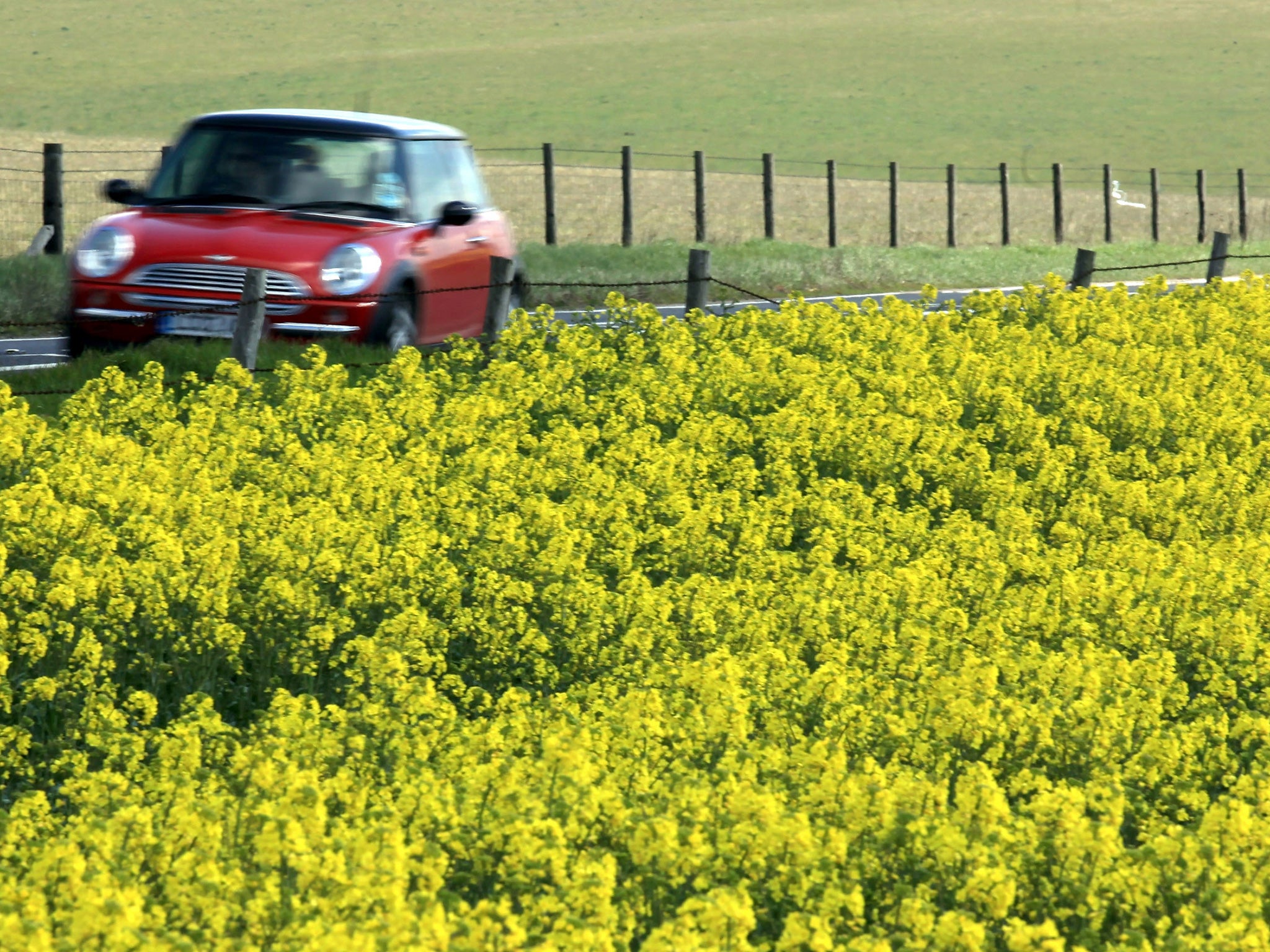 Norfolk council are looking to cut costs by considering a vote to cut roadside plants bi-annually