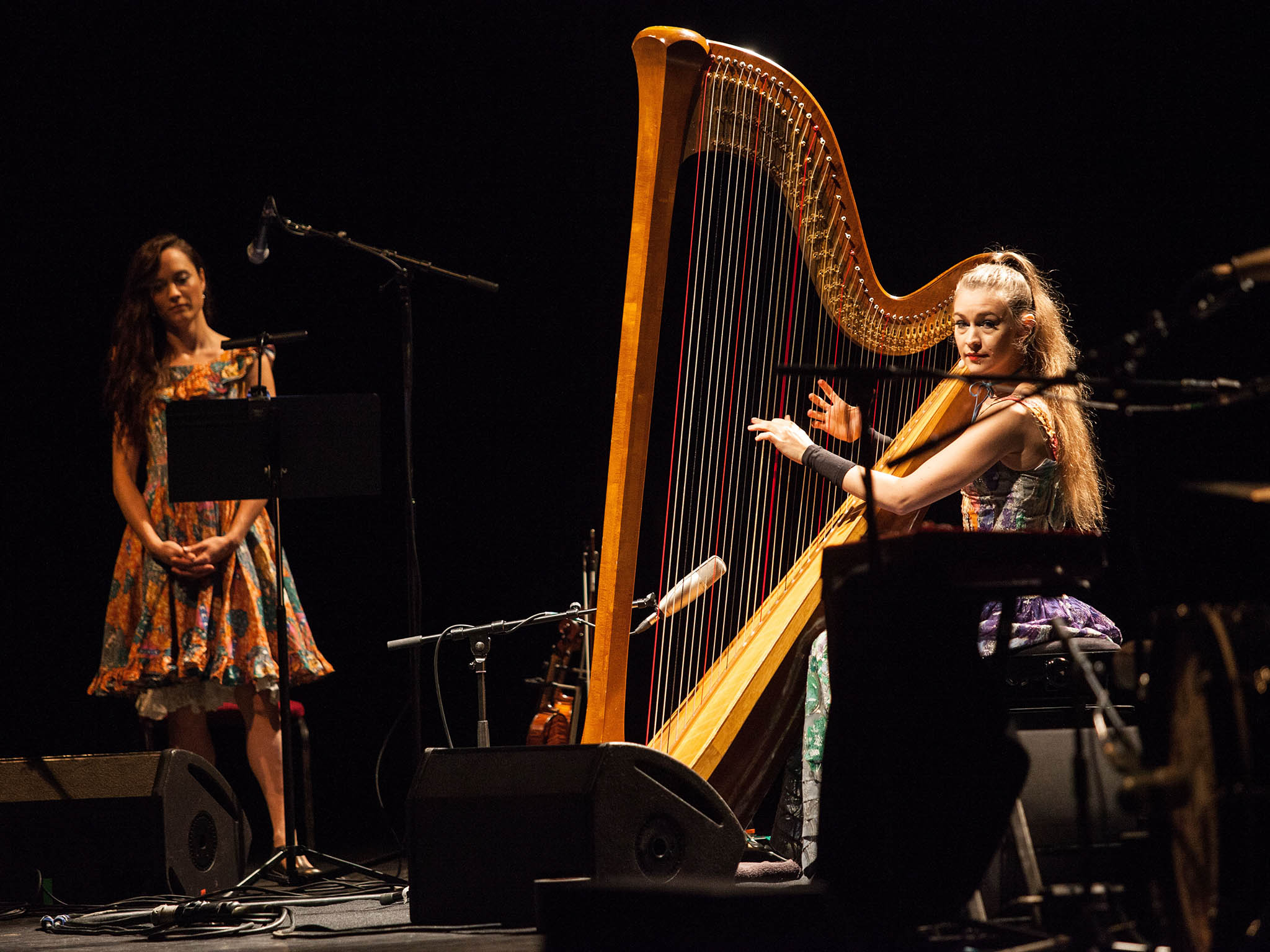 Joanna Newsom performs live at Eventim Apollo, London in November 2015