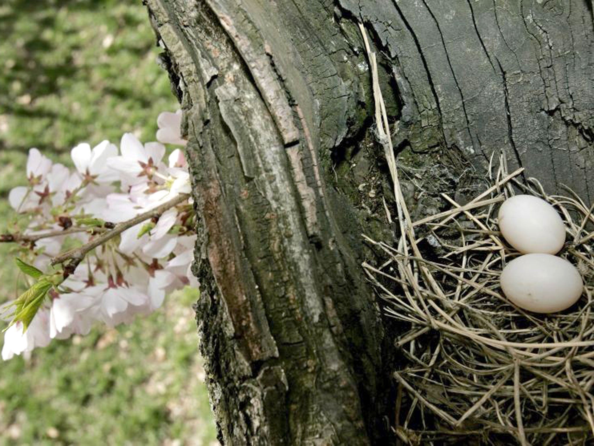 Our nest-eggs won’t amount to as much as we would like if we put all our money in cash accounts. ‘British savers,’ says one fund manager, ‘are a very conservative bunch’