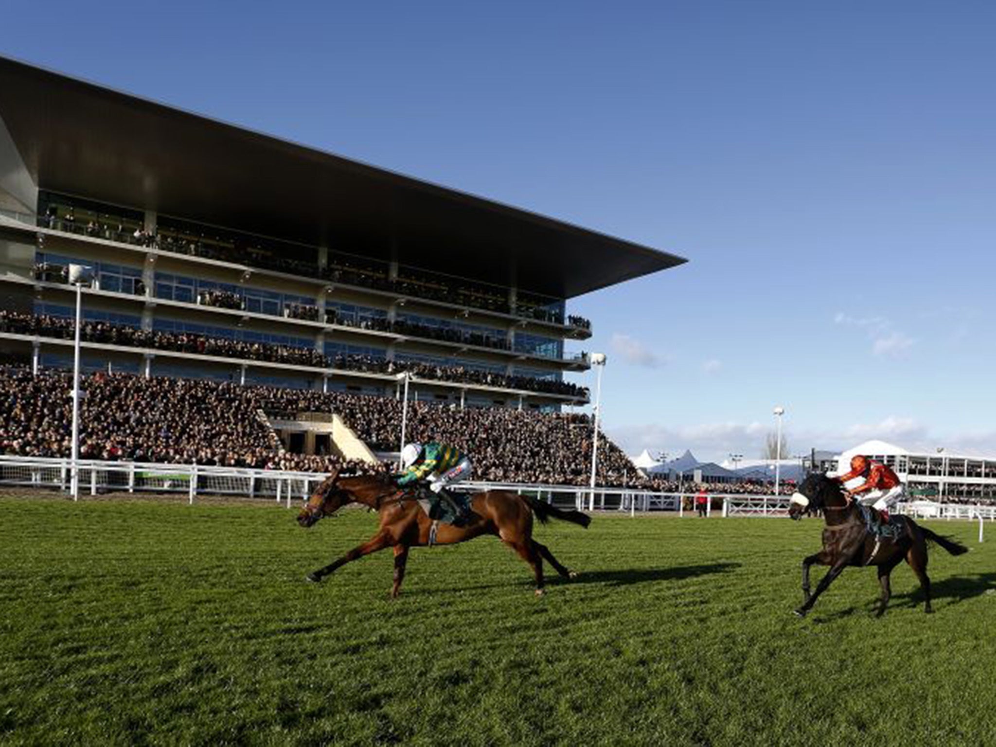 Barry Geraghty and More Of That (left) climb the hill to win the Steel Plate and Sections Novices’ Chase at Cheltenham last week