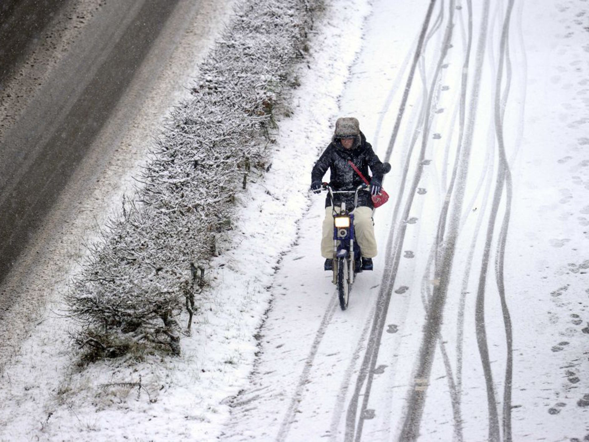 A new law will allow local areas to ban mopeds from bicycle lanes, to the delight of cycling groups