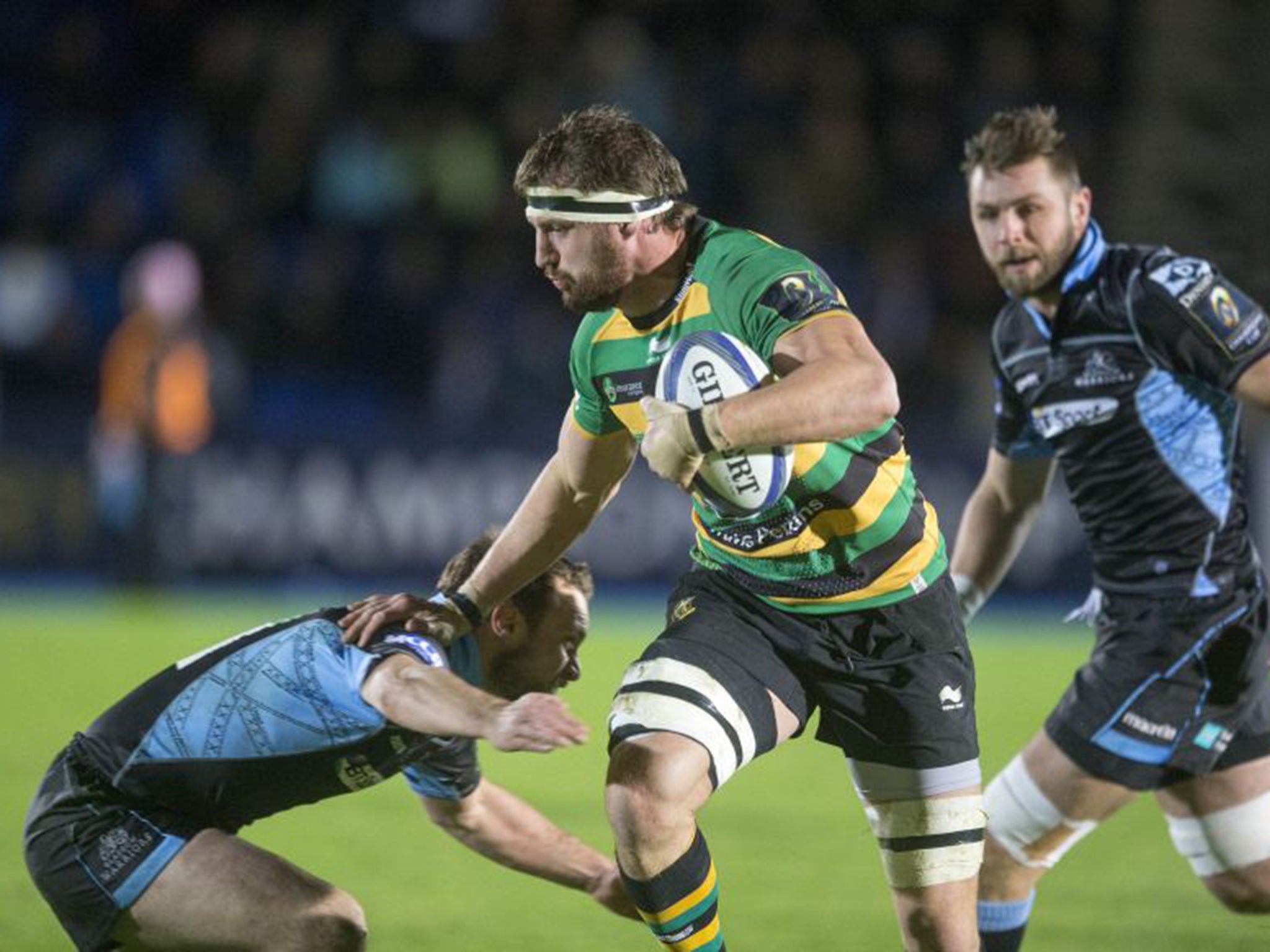 Fast forward: Northampton flanker Tom Wood goes on the charge