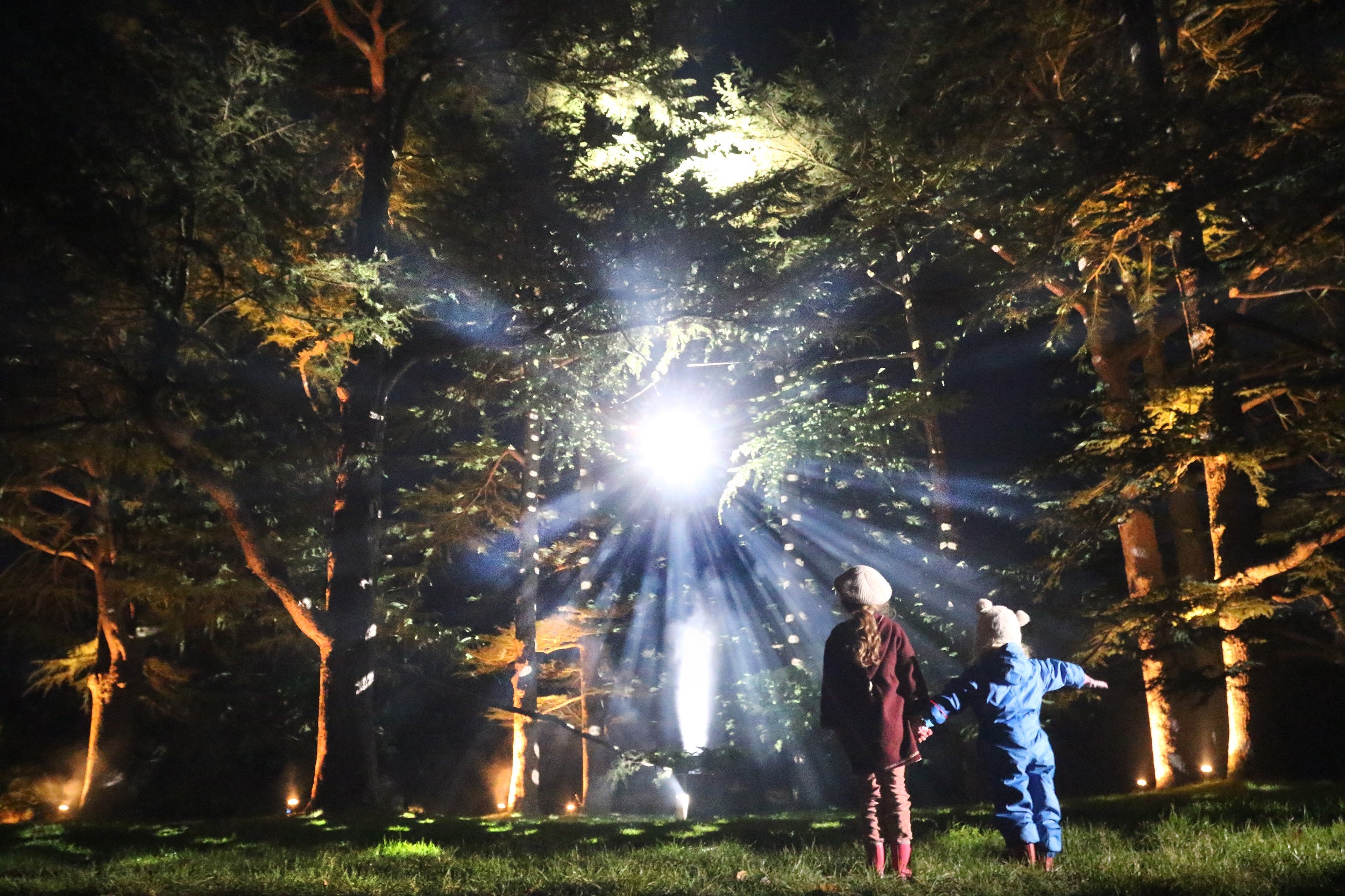 Enchanted Christmas at Westonbirt