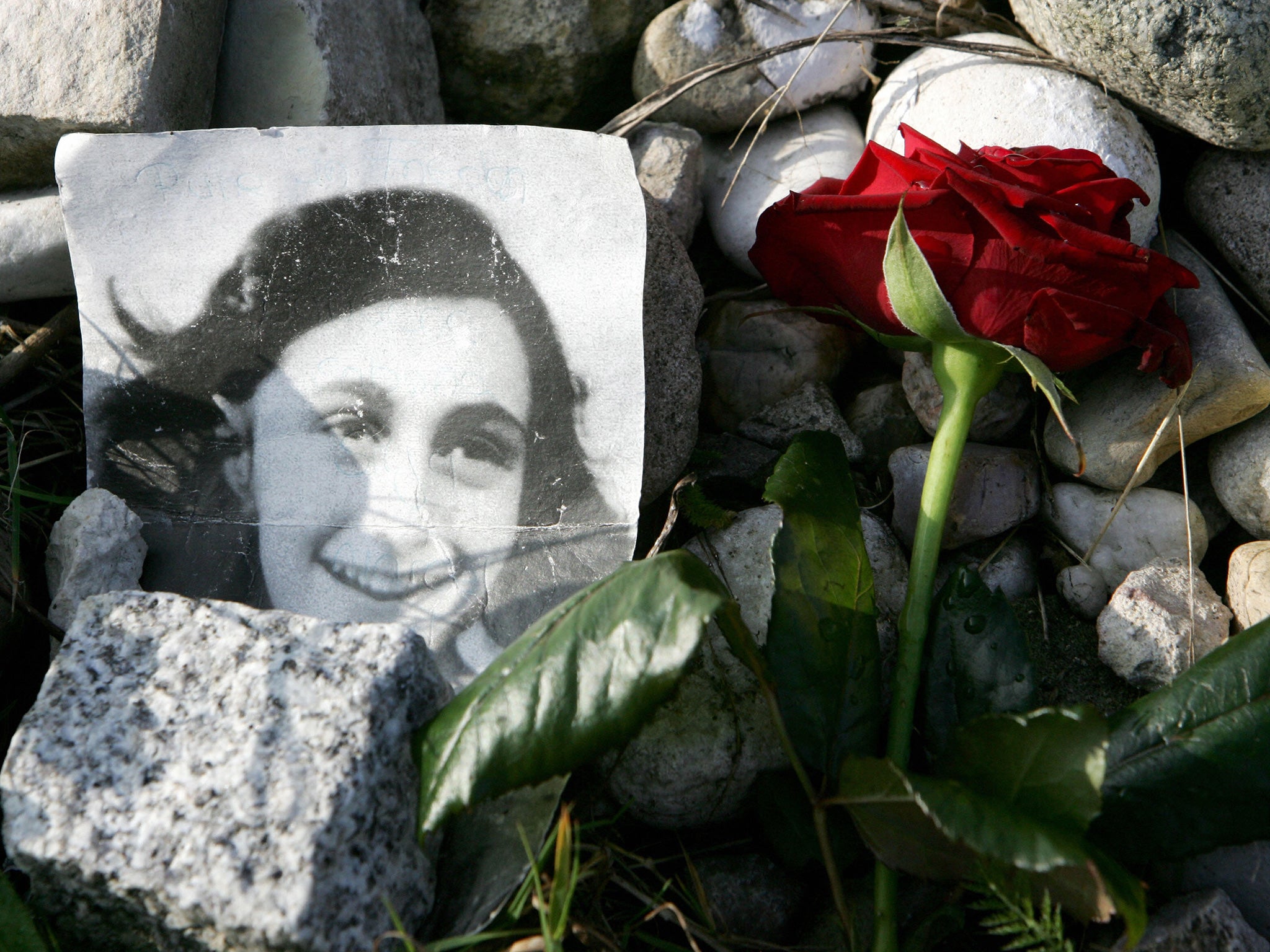 A picture of Anne Frank lies in front of her memorial stone