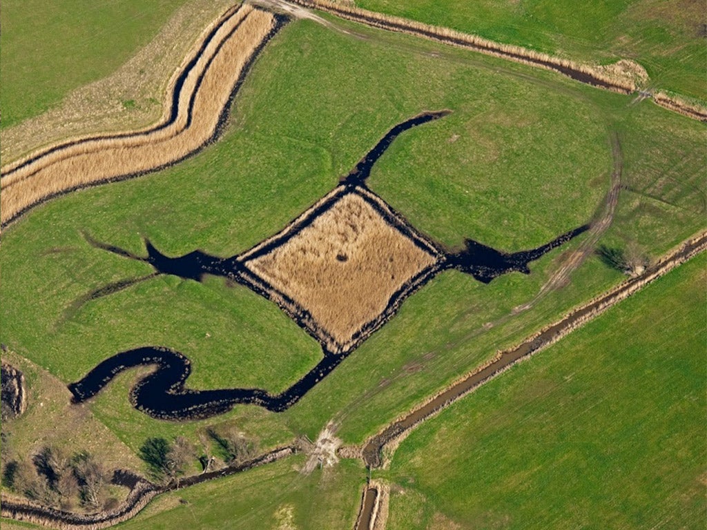 The well-preserved and partly-waterfilled remains of a 17th century duck decoy pond on Halstow Marshes. Duck decoy ponds consisted of a central pond with a number of curving and gradually narrowing channels leading away from the main body of water.