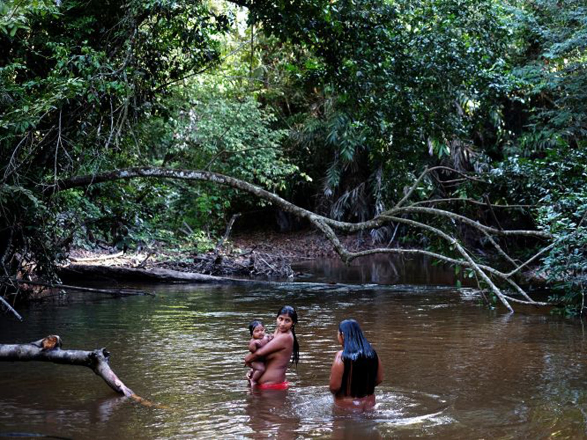 Awá women bathe a child. The Awá population has fallen to about 450, from an estimated 600 in 1960