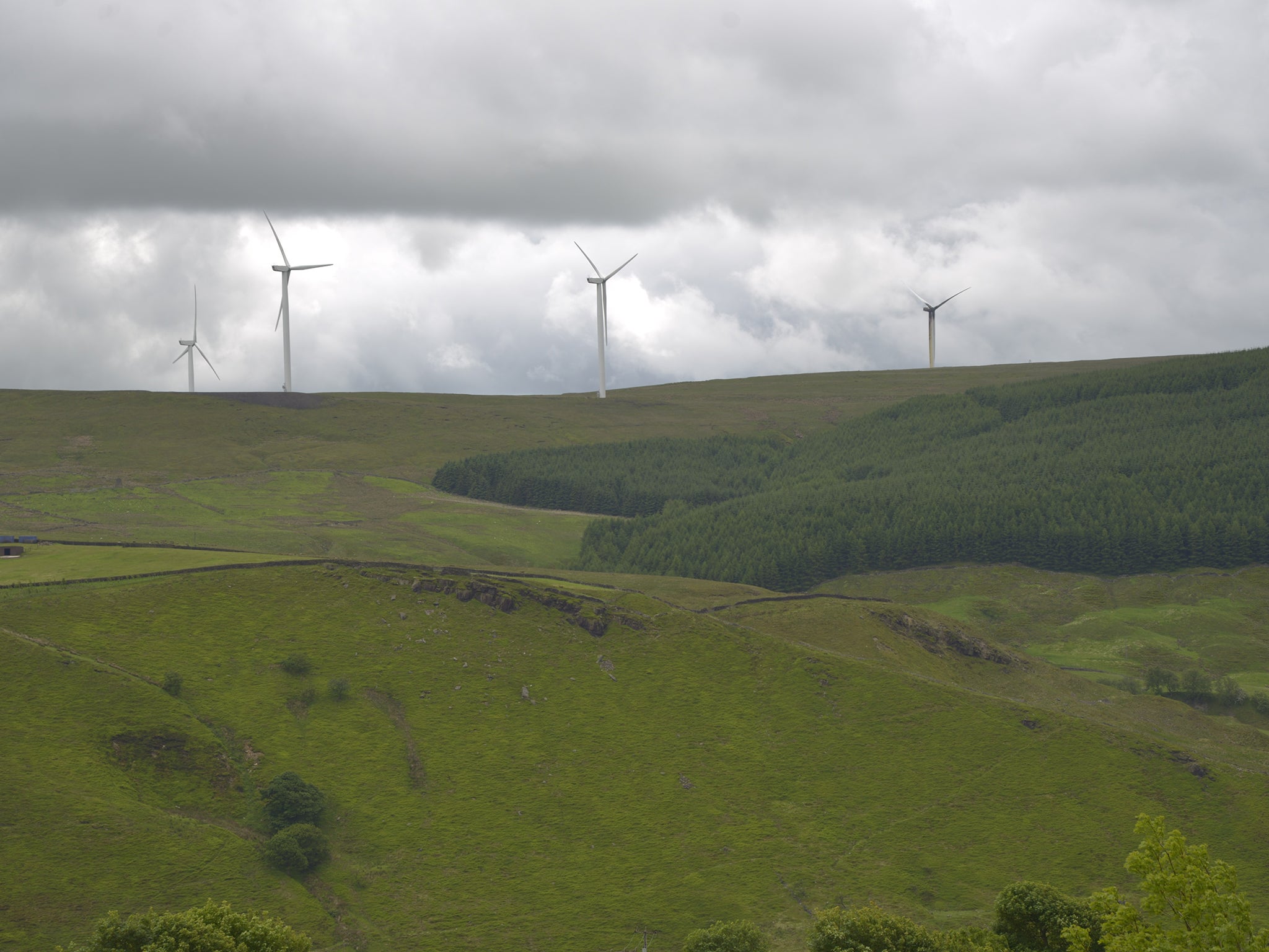 Many of the new green power stations that were expected to spring up over the next decade will no longer be built, after subsidies for onshore wind and solar energy were slashed