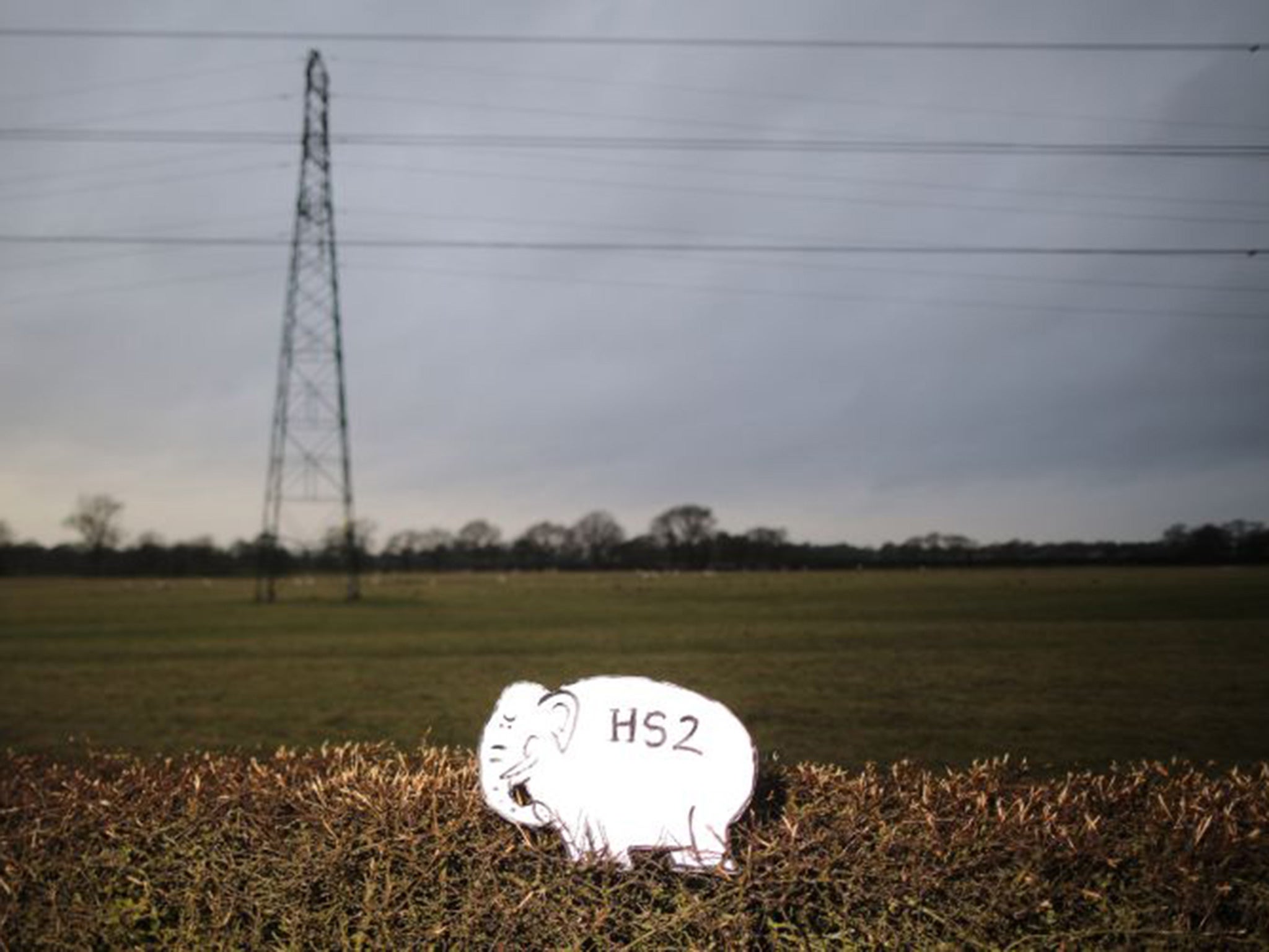 A white elephant placard sits in a hedegrow, placed by Joe Rukin from the Stop the HS2 Campaign by the village of Hoo Green