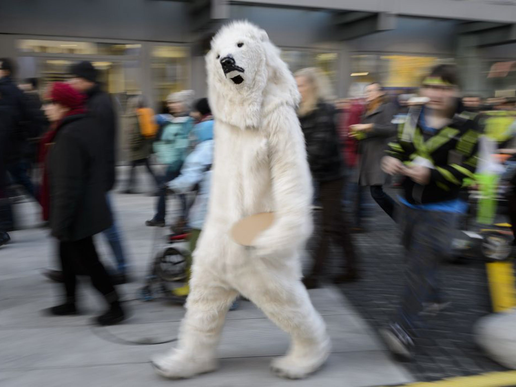 A person dressed as a polar bear walks in Geneva on November 28, 2015 during a rally ahead of the UN climate summit COP21