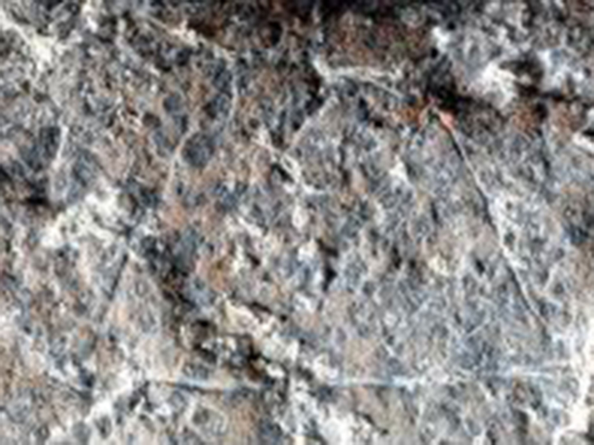 The drawings on a slab of rock are thought to date back 13,800 years