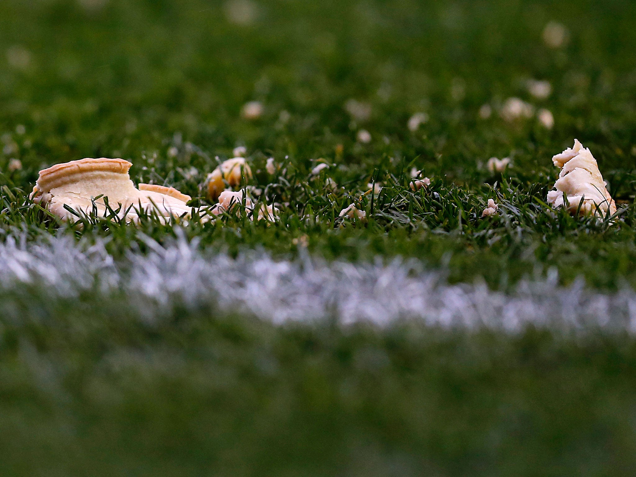 Fans protested at Leeds by throwing pies onto the pitch