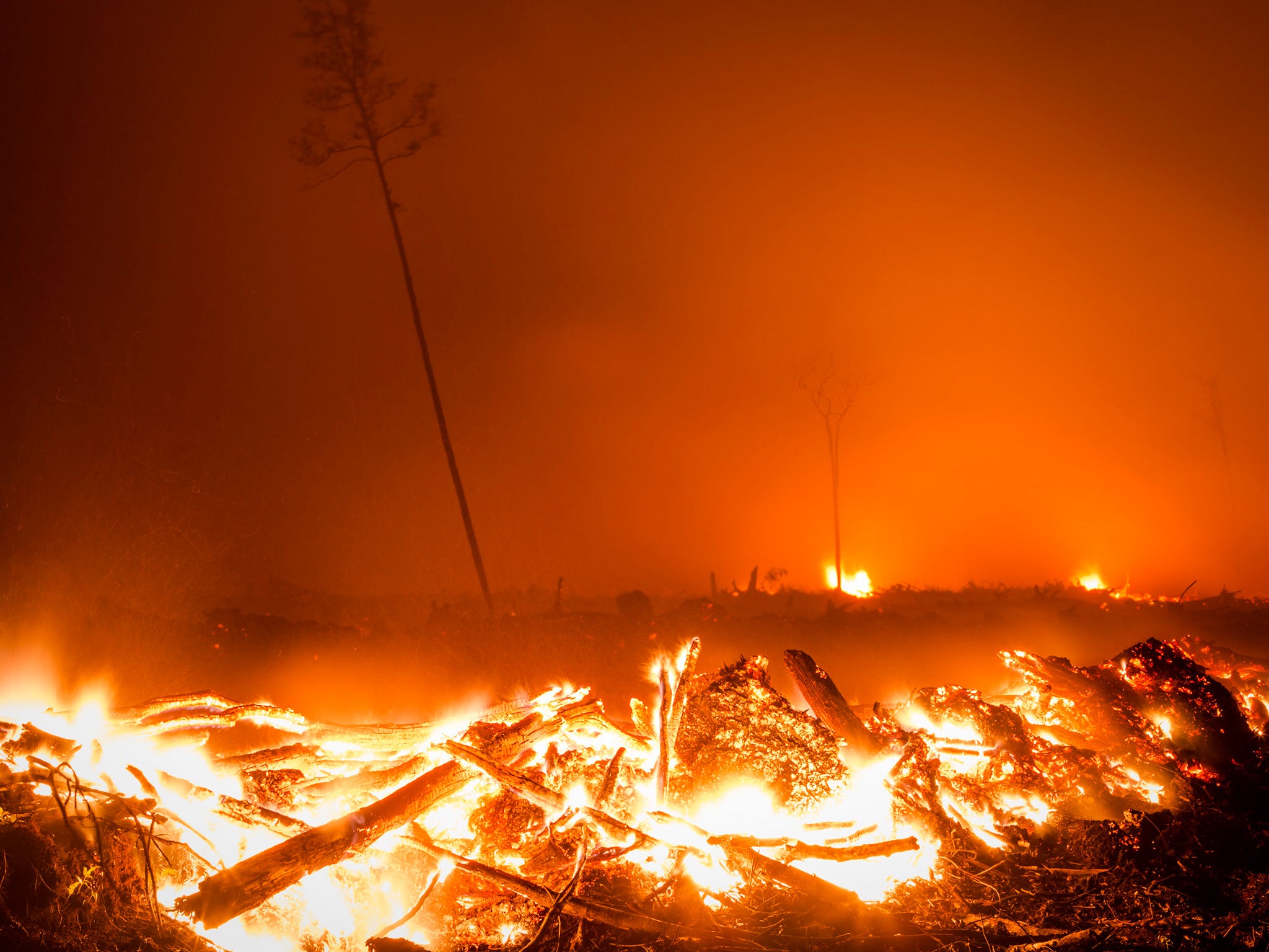 Peatland forest is cleared by burning for a palm oil plantation in Indonesia, causing severe pollution across the region Getty