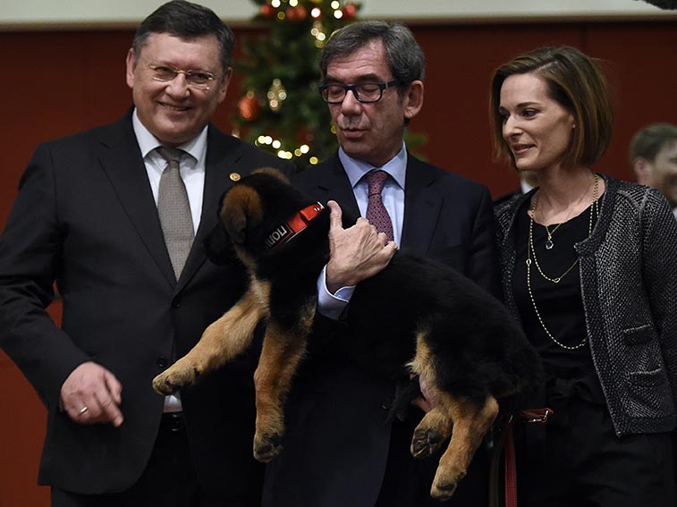 French ambassador Jean-Maurice Ripert holding Dobrynya