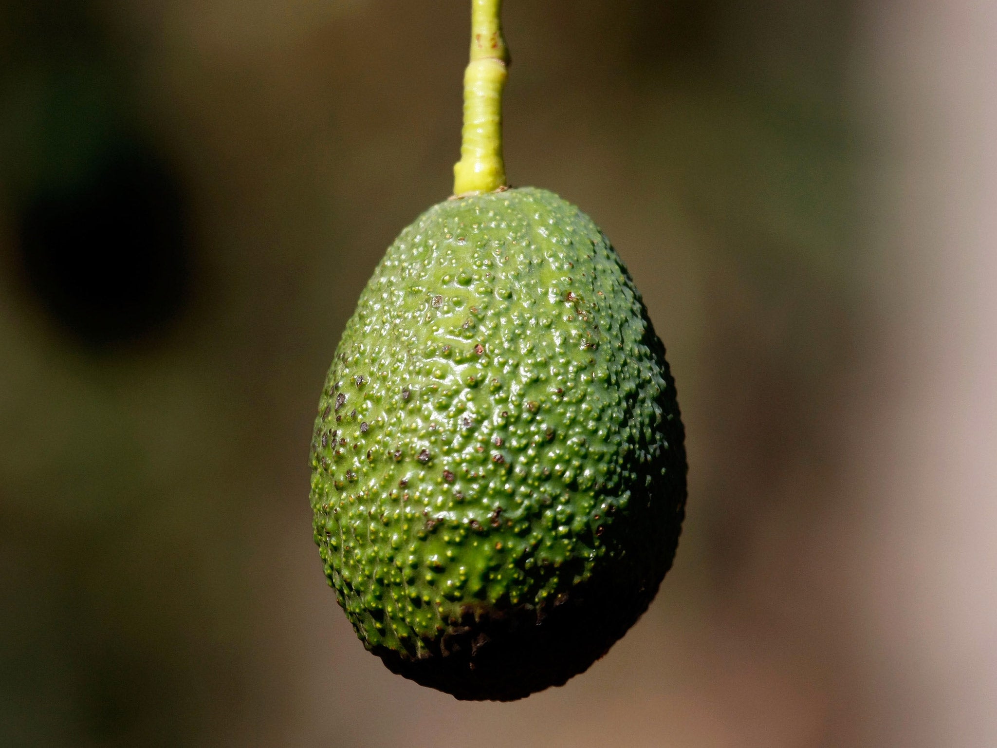 Have we reached the point of 'peak avocado'?