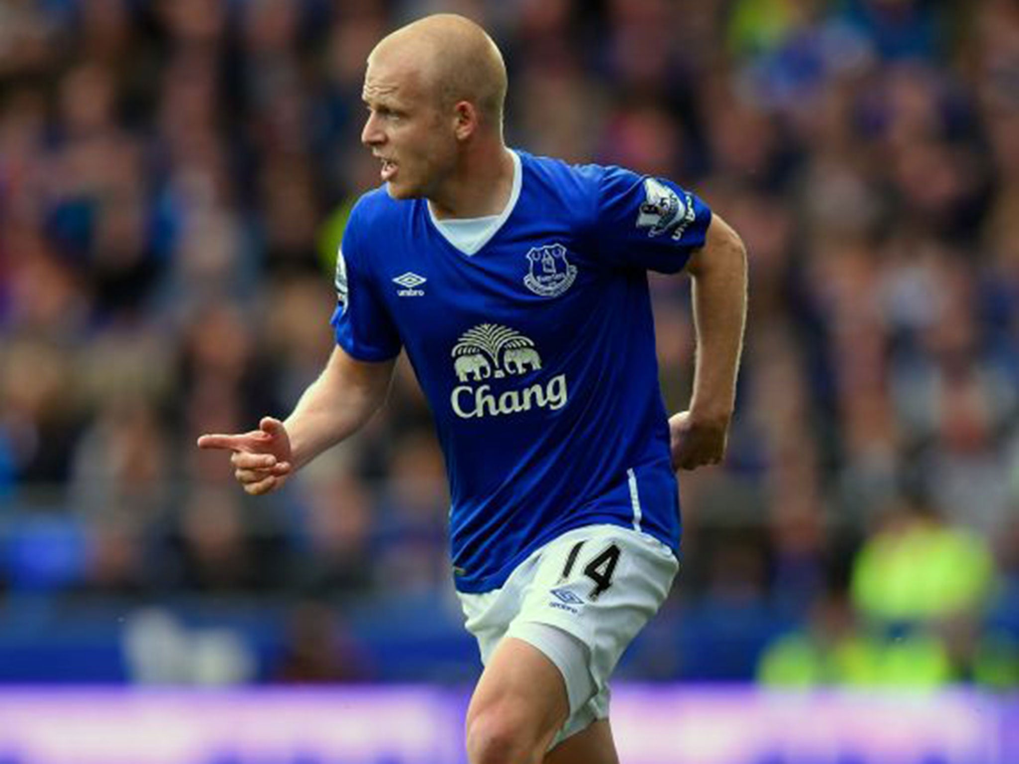 Steven Naismith is likely to move on in the new year after struggling to get into the Everton side