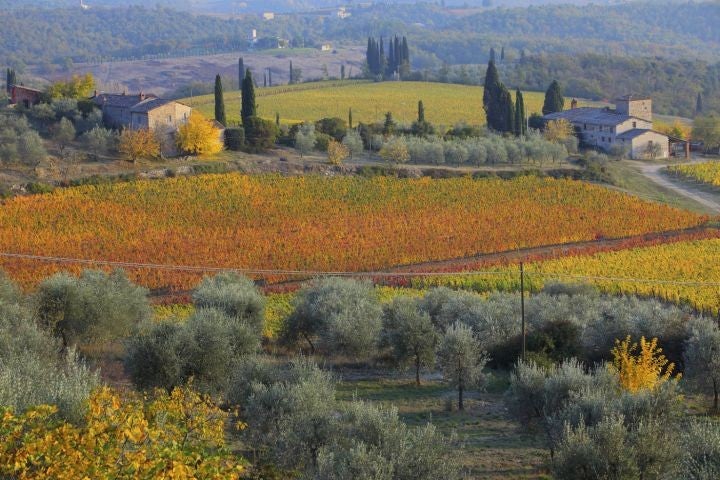 Paradise lost? A Briton with a holiday home in Tuscany is worried that her Italian current account could be the cause of a tax attack