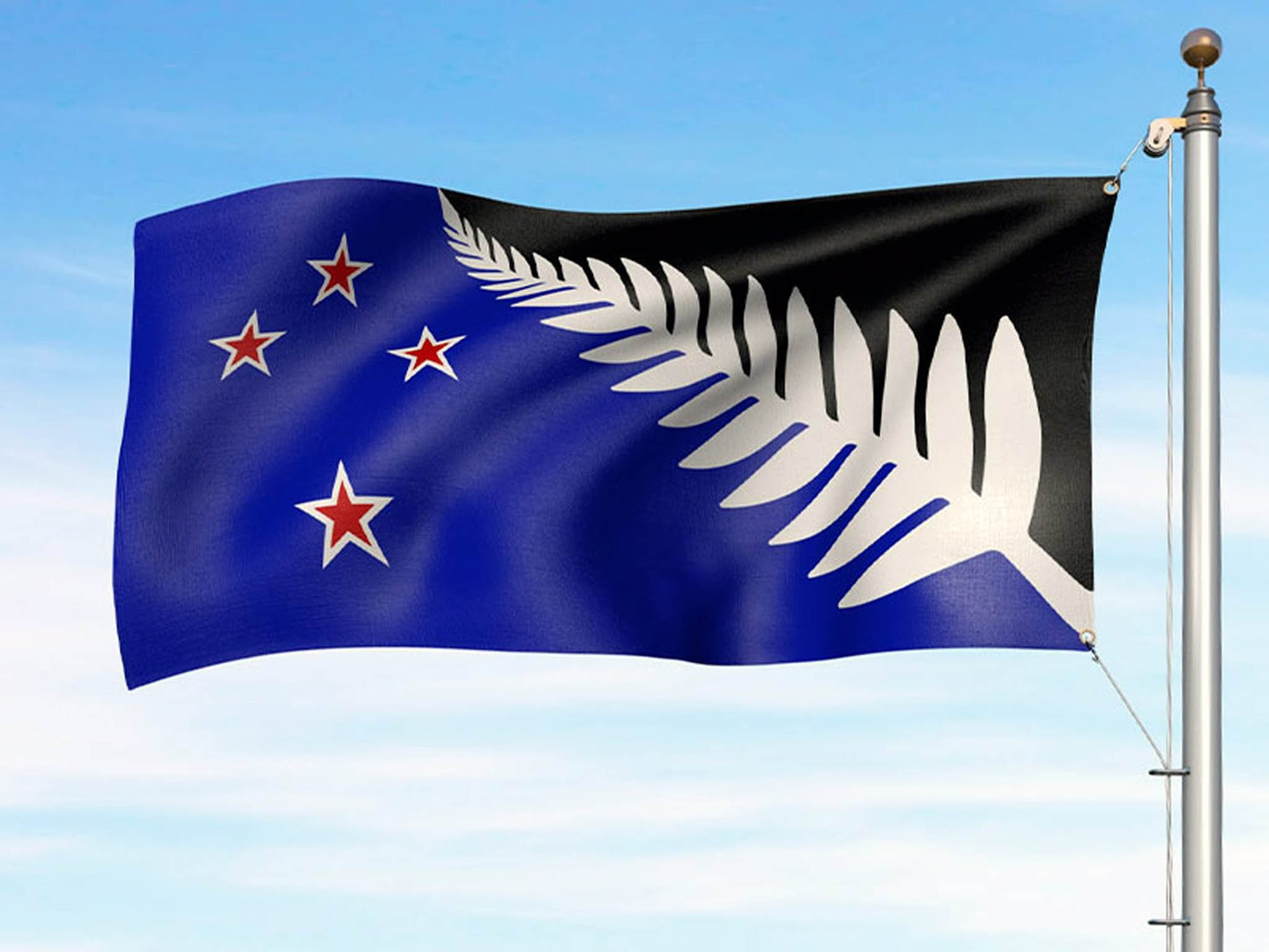 The Silver Fern design of New Zealand's potential new flag