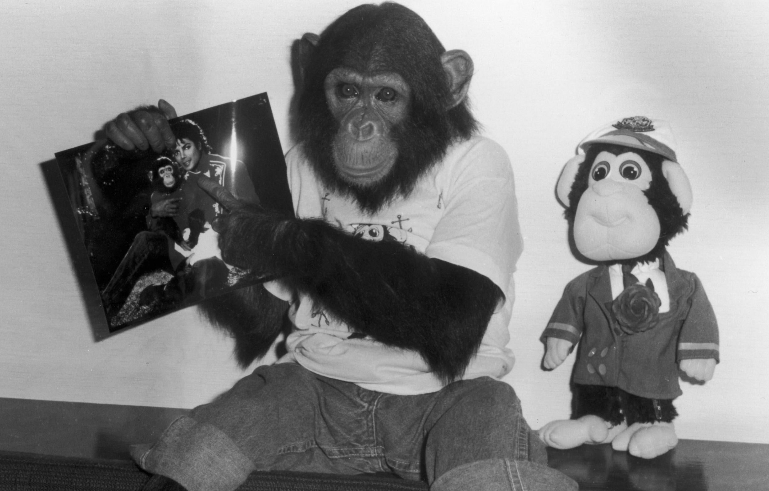 Michael Jackson's chimp Bubbles