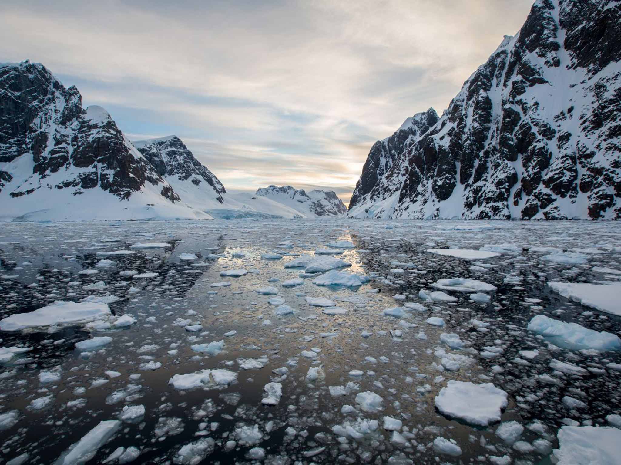 The splendour and dynamics of this ice-clad wilderness