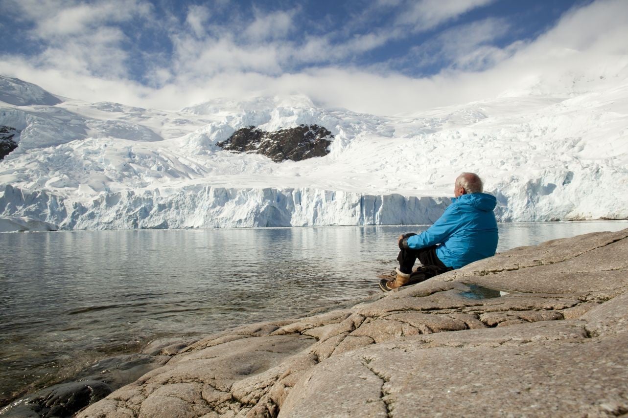 Luc Jacquet's new documentary Ice and the Sky