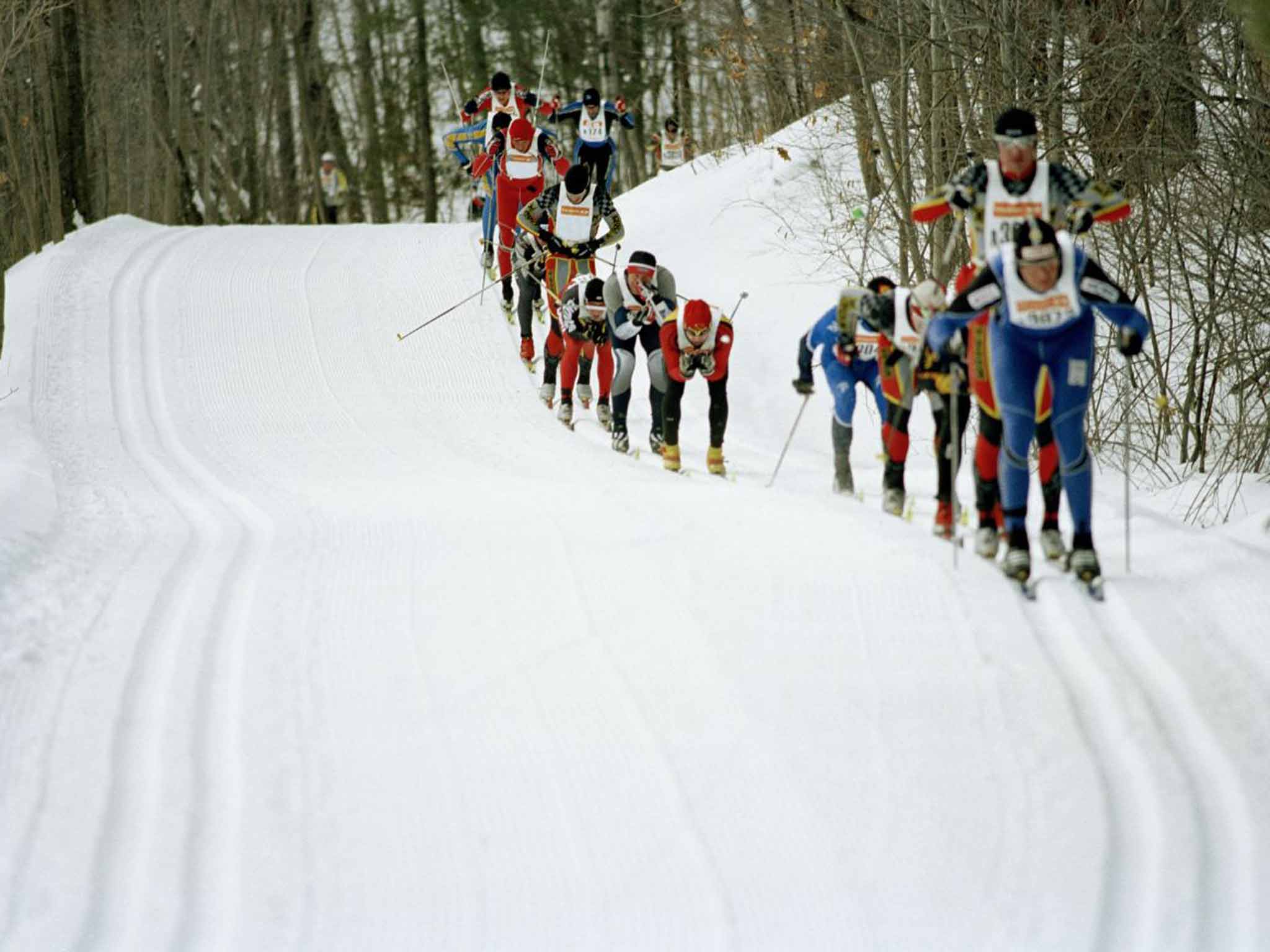 Skiers taking part in the Gatineau Loppet