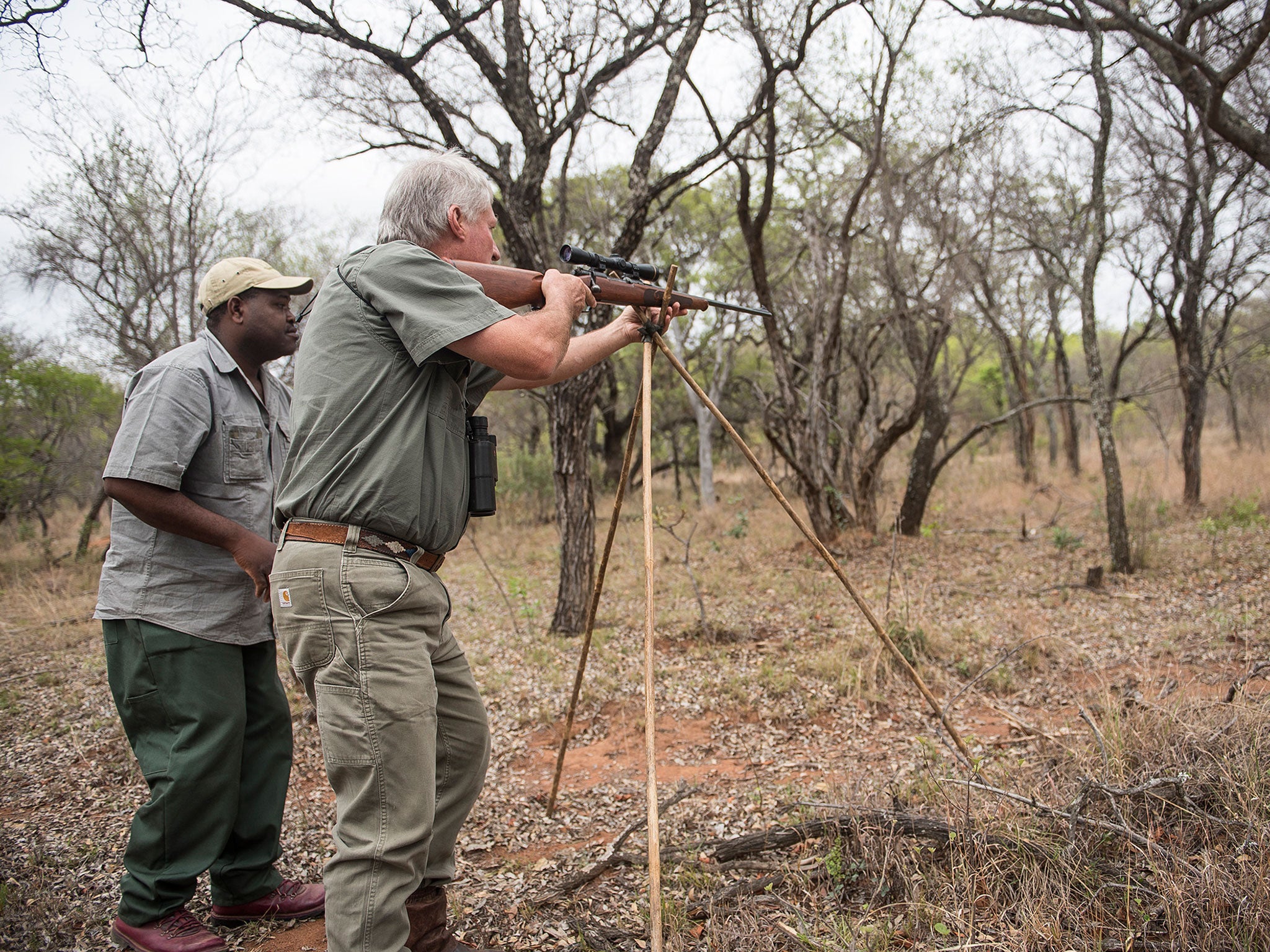 A new ruling will virtually prohibit big game hunters from shipping lion parts back to the US