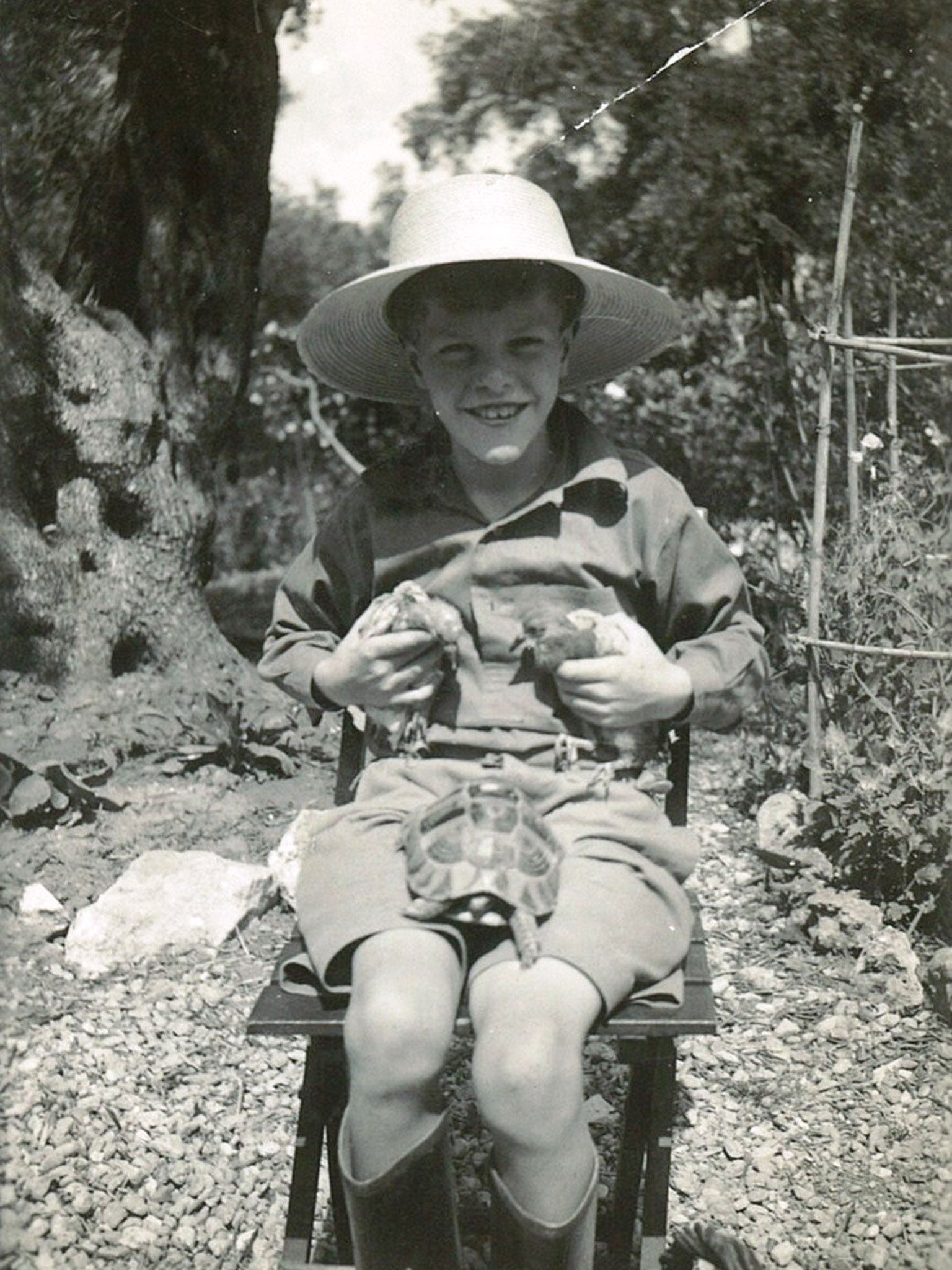 Gerald as a child with pigeons and a tortoise in 1936