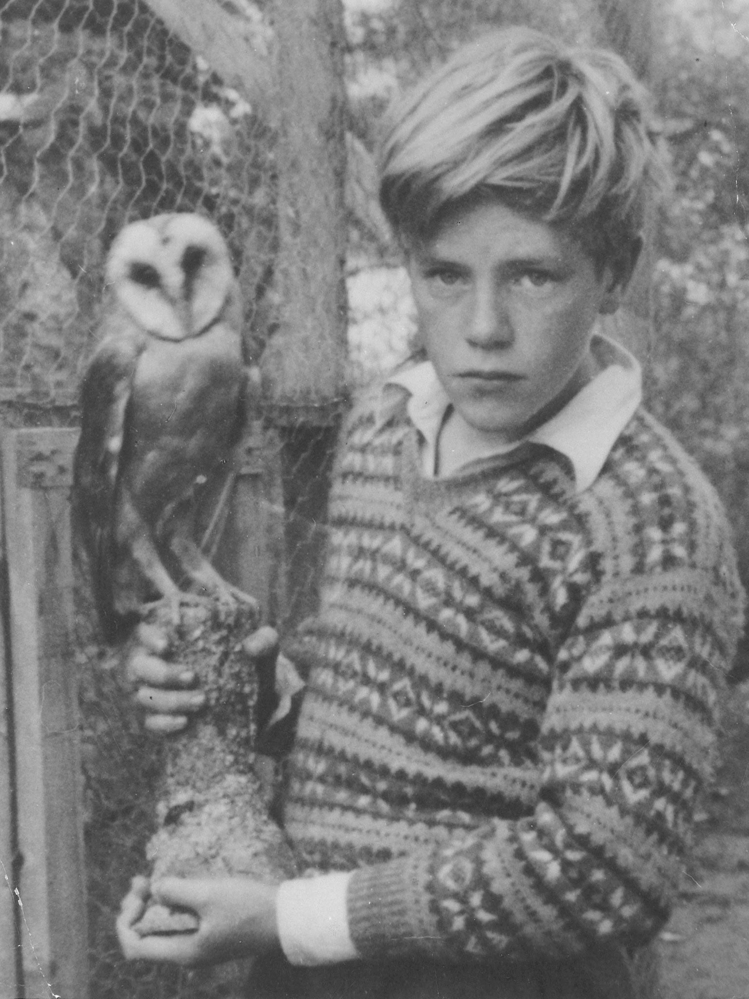 Gerald posing with a stuffed barn owl