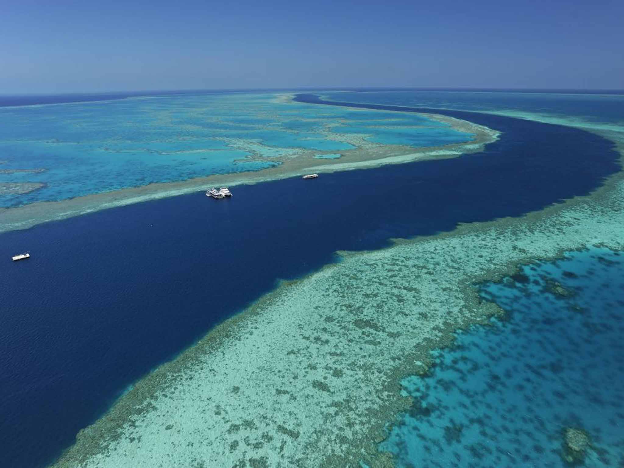 Reef encounter: Australia's coralspeckled shores