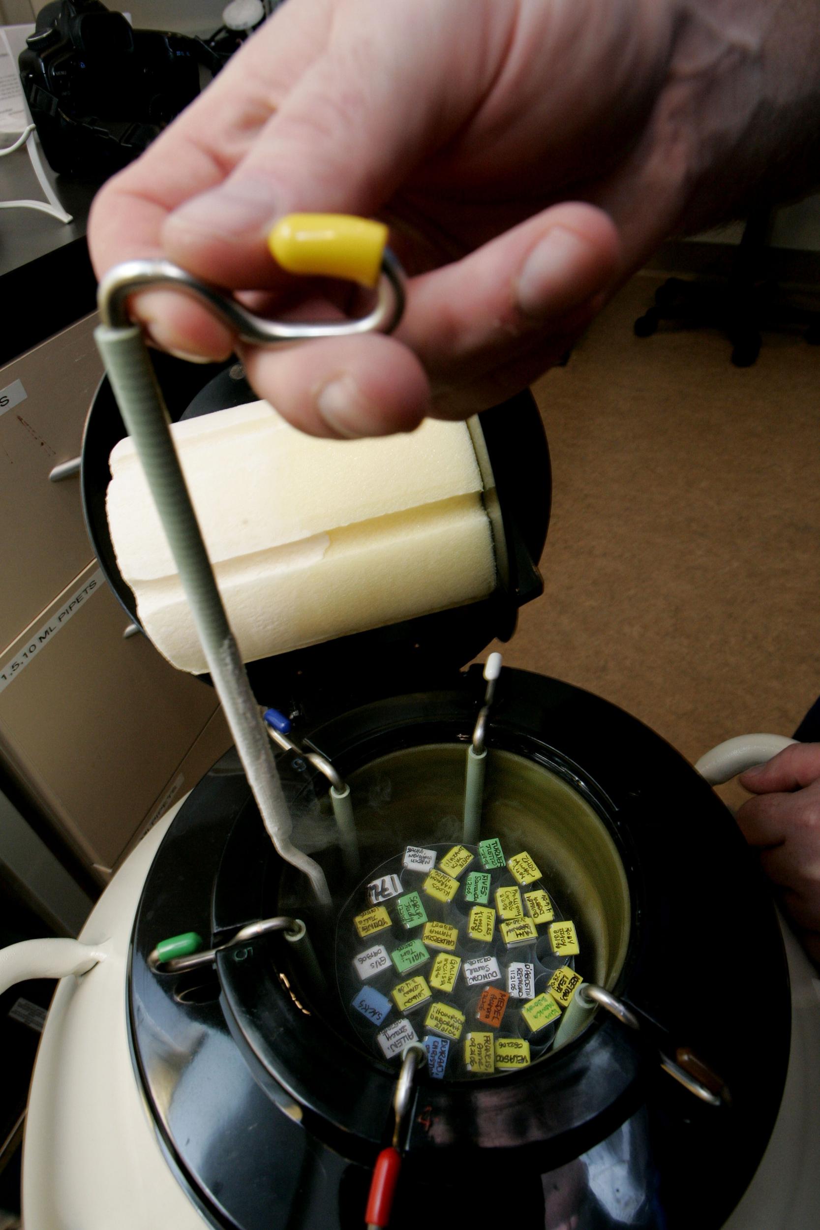 Embryologist Ric Ross pulls out vials of human embryos from a liquid Nitrogen storage container