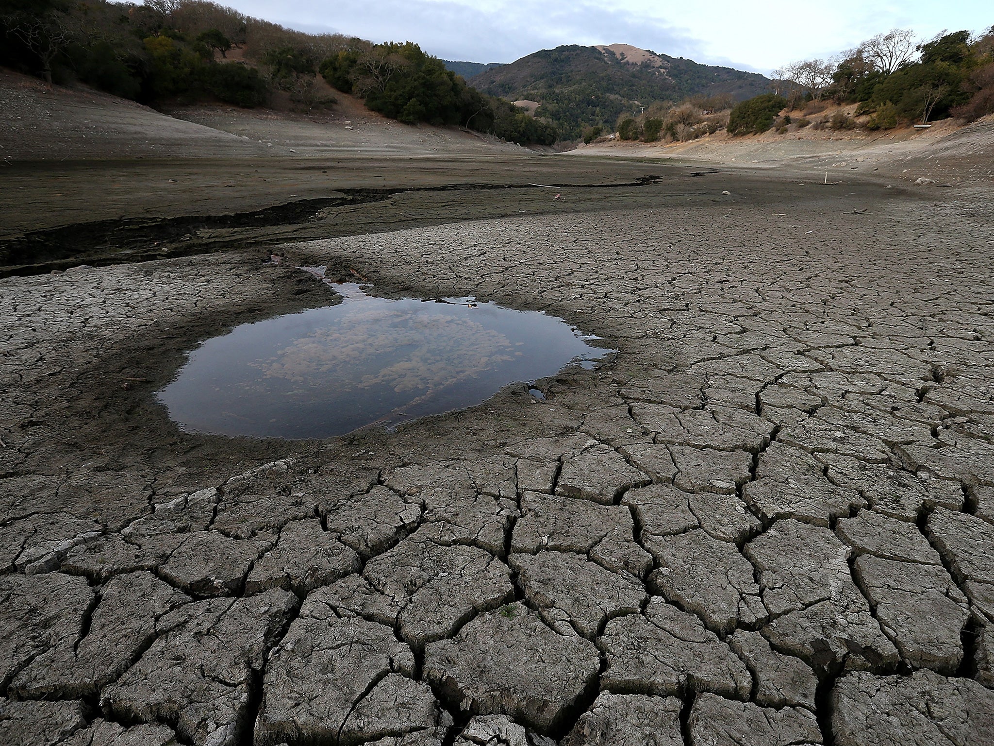 Hunger, drought and disease could affect millions of people, especially in southern Africa