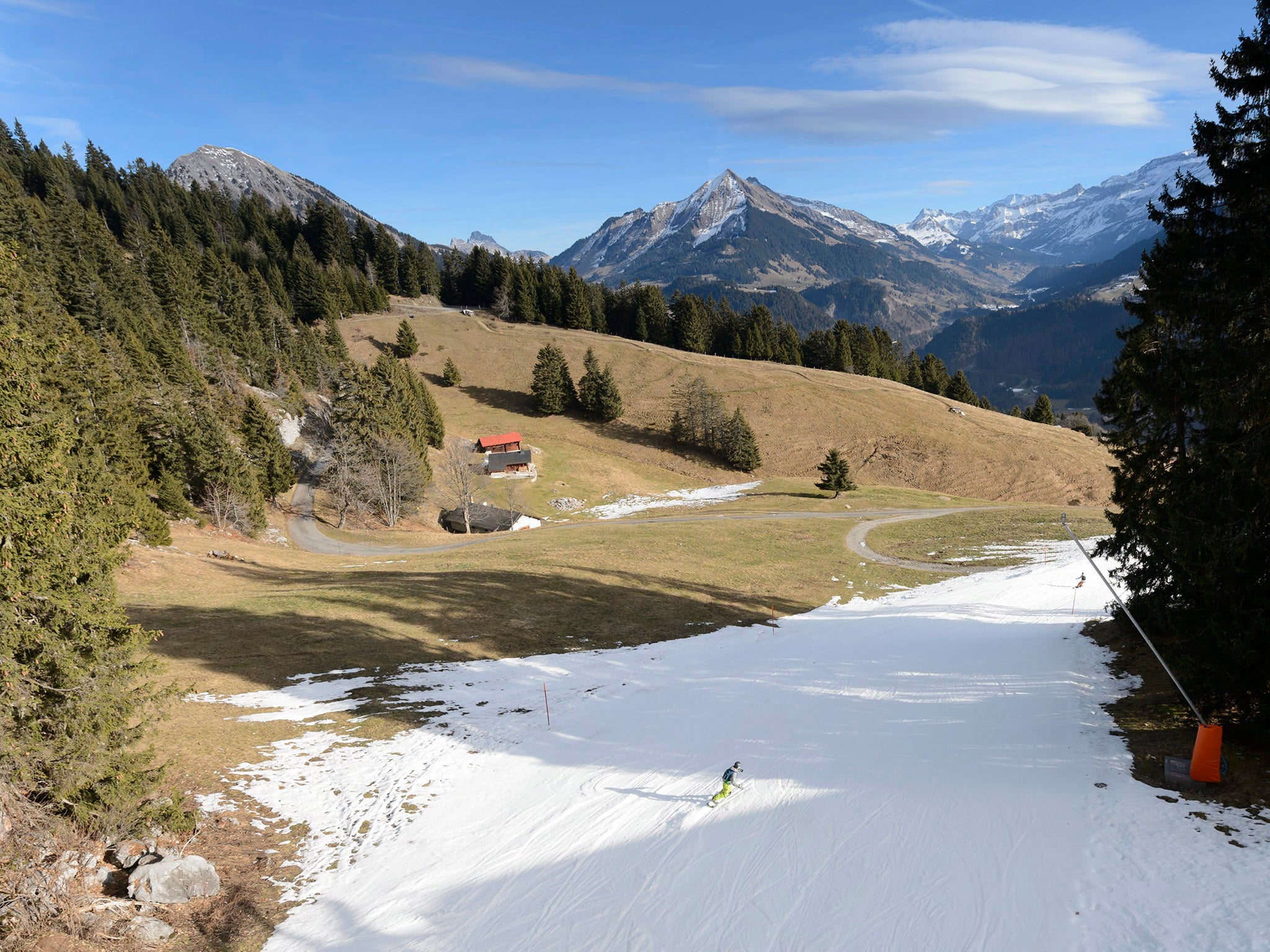 Skiers in action on a ski slope covered with artificial snow surrounded by green fields, in the Swiss Alps, during Christmas holydays, in Leysin, Switzerland. The snow has melted as a result of the mild temperatures throughout the last few days