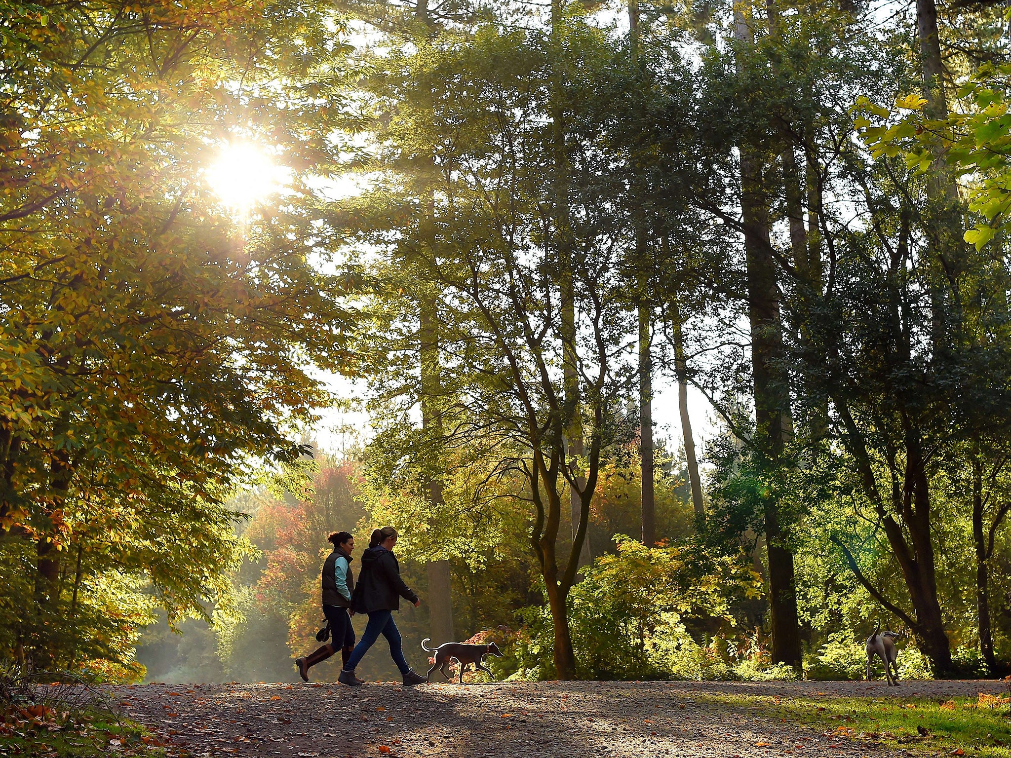 Exercise is more effective when taken outdoors