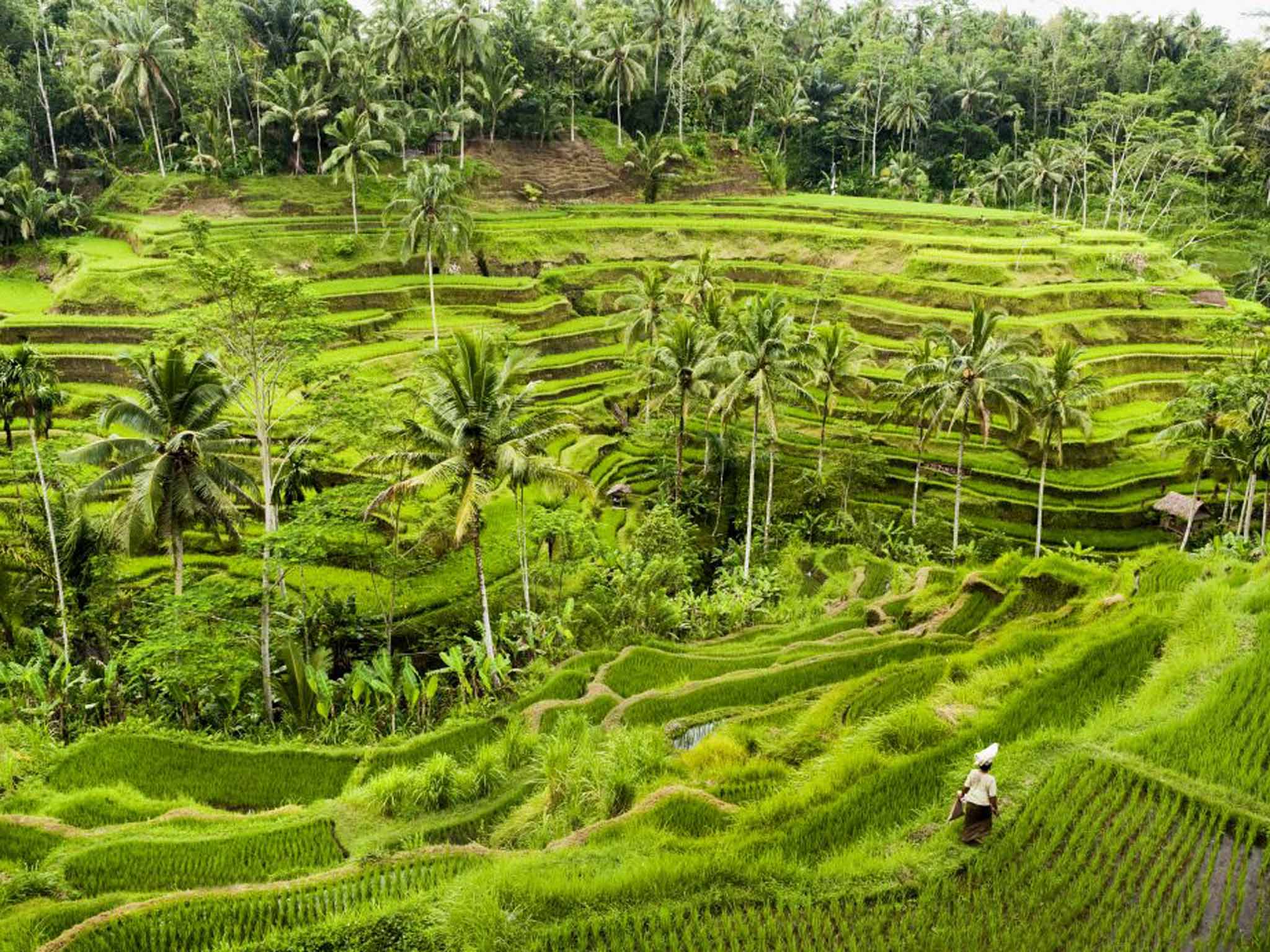 Ubud, Bali