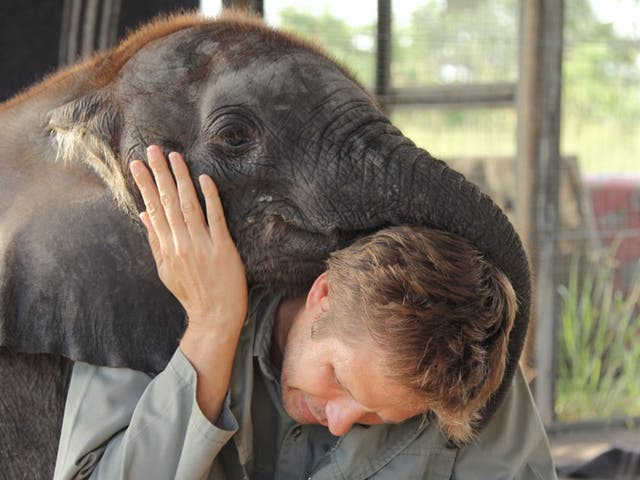 Dr Mike Chase, founder of Elephants Without Borders, has just completed The Great Elephant Census