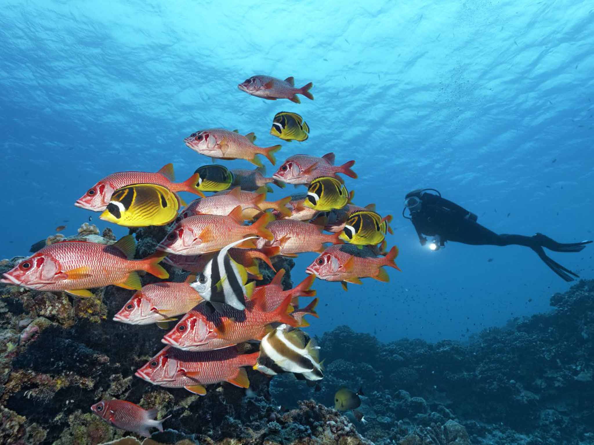 'There were some who said that the worst had passed,' said environment minister Greg Hunt. 'We rejected that, and they were wrong.'