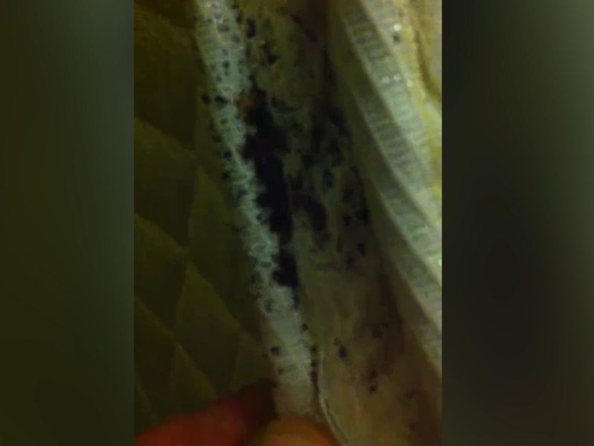 Video has emerged showing hundreds of bed bugs crawling on the underside of a mattress in the Astor Hotel in New York City.