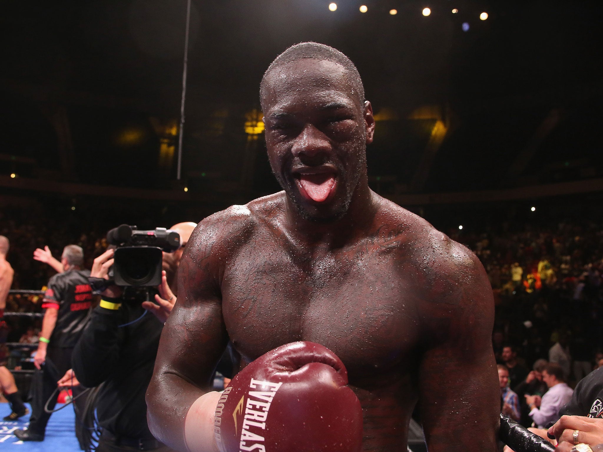 Deontay Wilder will defend his WBC heavyweight title