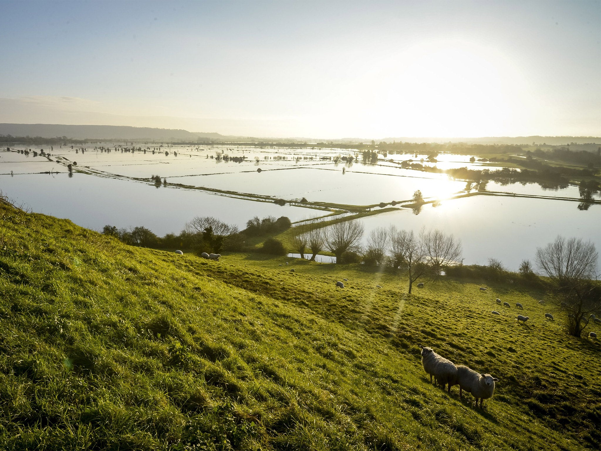 &#13;
Land on the Somerset Levels, near Burrowbridge, was still flooded on Wednesday, with more rain forecast &#13;