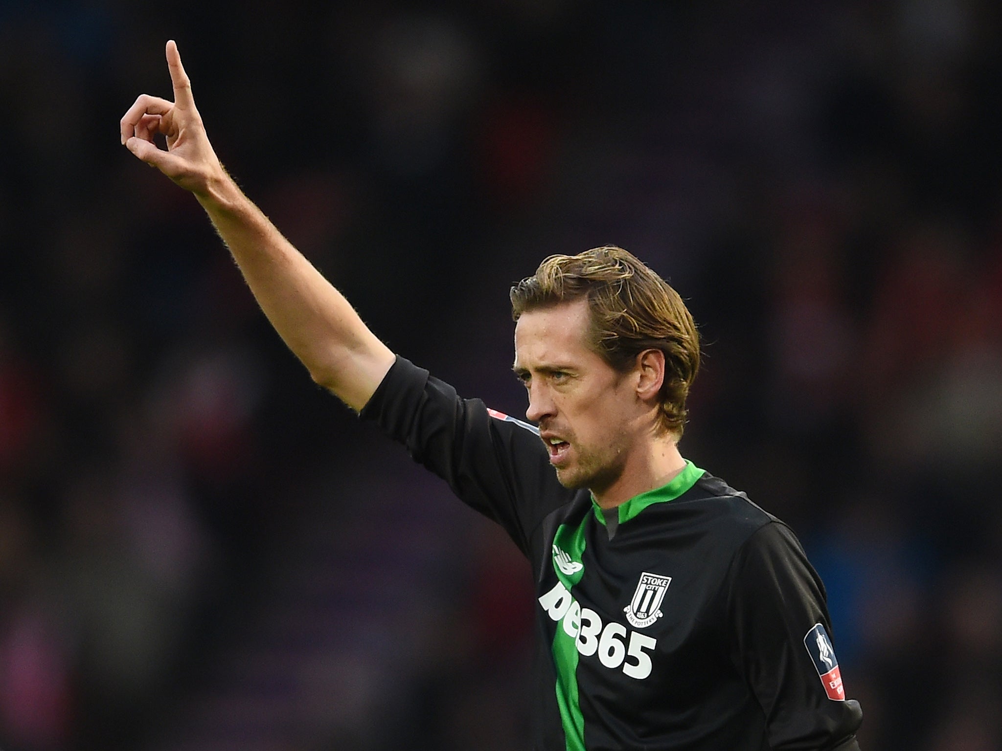 Stoke City striker Peter Crouch