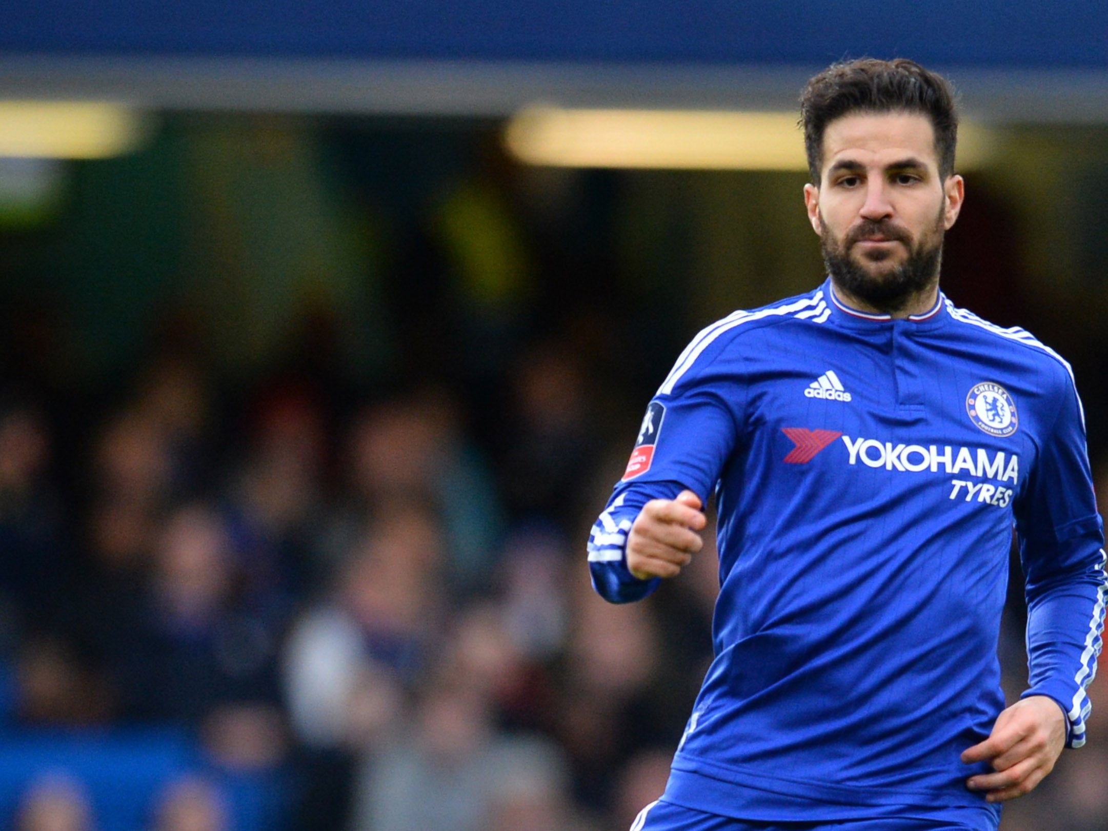 Fabregas was understood to be on Manchester United's radar when he left Barcelona for Chelsea and the Spain international is of the quality that would improve United's current squad. Despite the reports that the former Arsenal player was among those who forced Mourinho out at Stamford Bridge, he was one of the few to speak publicly in glowing terms of Mourinho. "Thank you for all you have done for me," he wrote on Twitter. "I owe you a lot and we will all miss you. Good luck in the future."