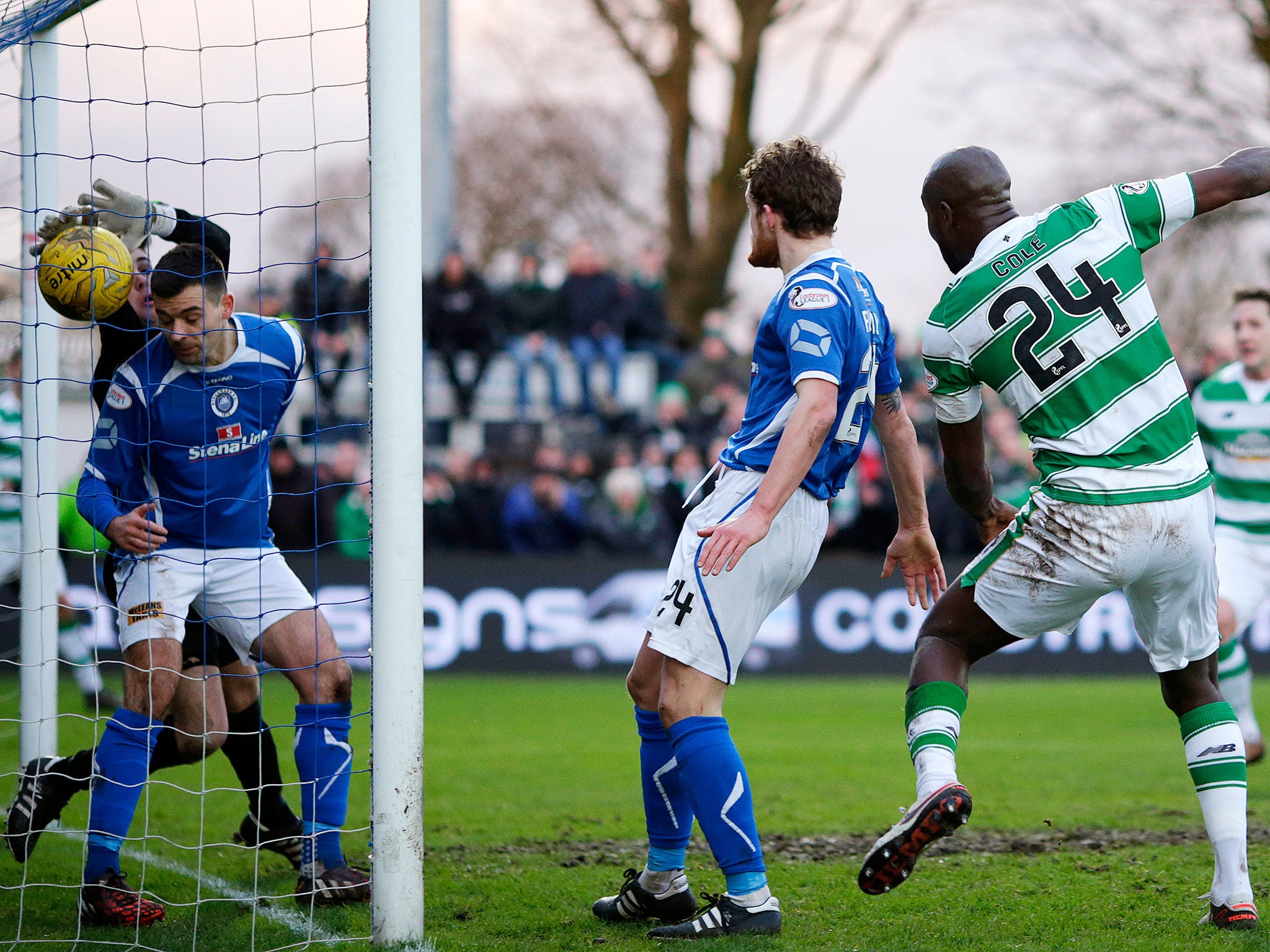 Carlton Cole (No 24) heads home his first goal for Celtic since joining the club in October 2015 during the 3-0 win over Stranraer