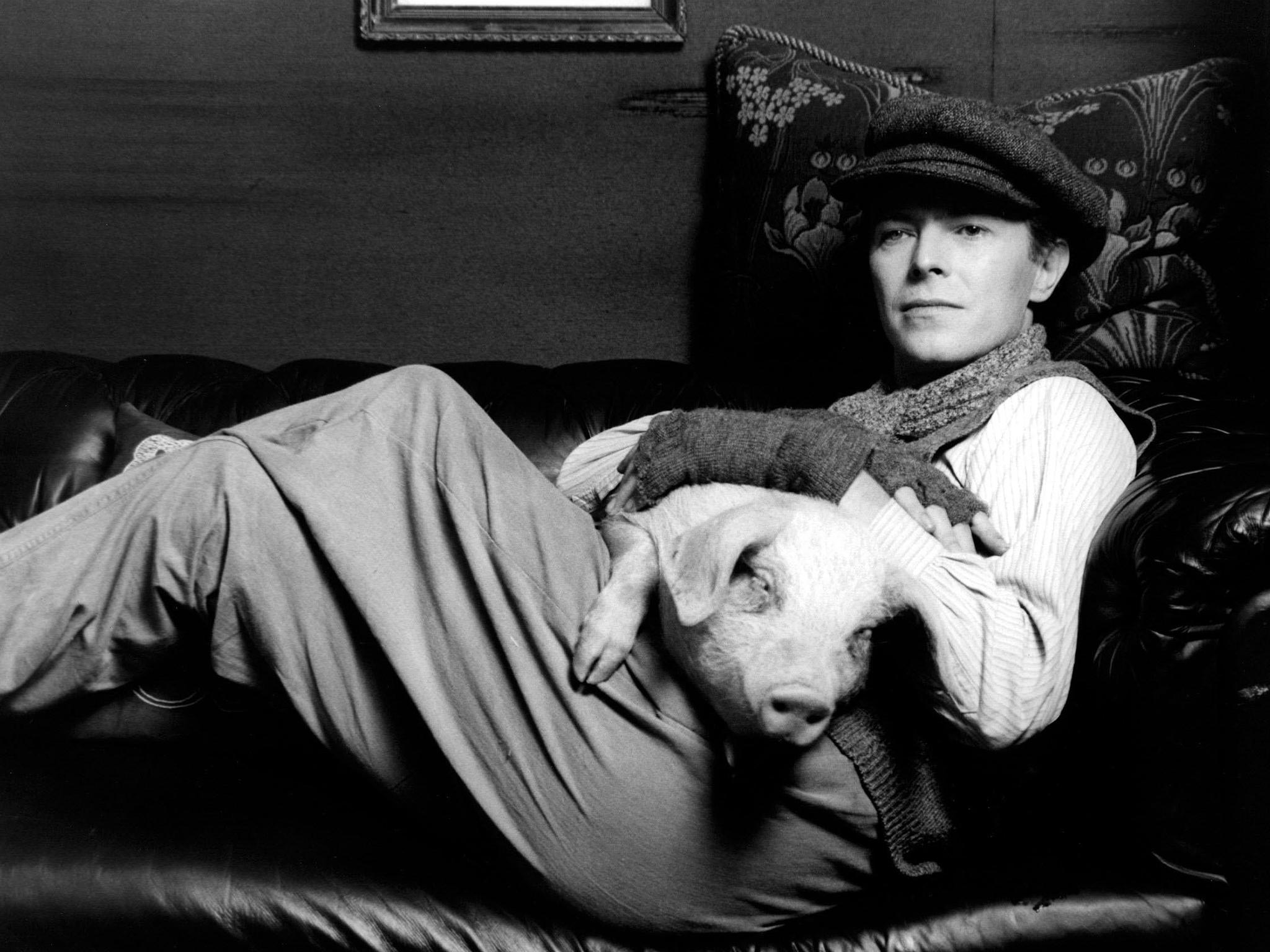 David Bowie poses with a pig, 2004