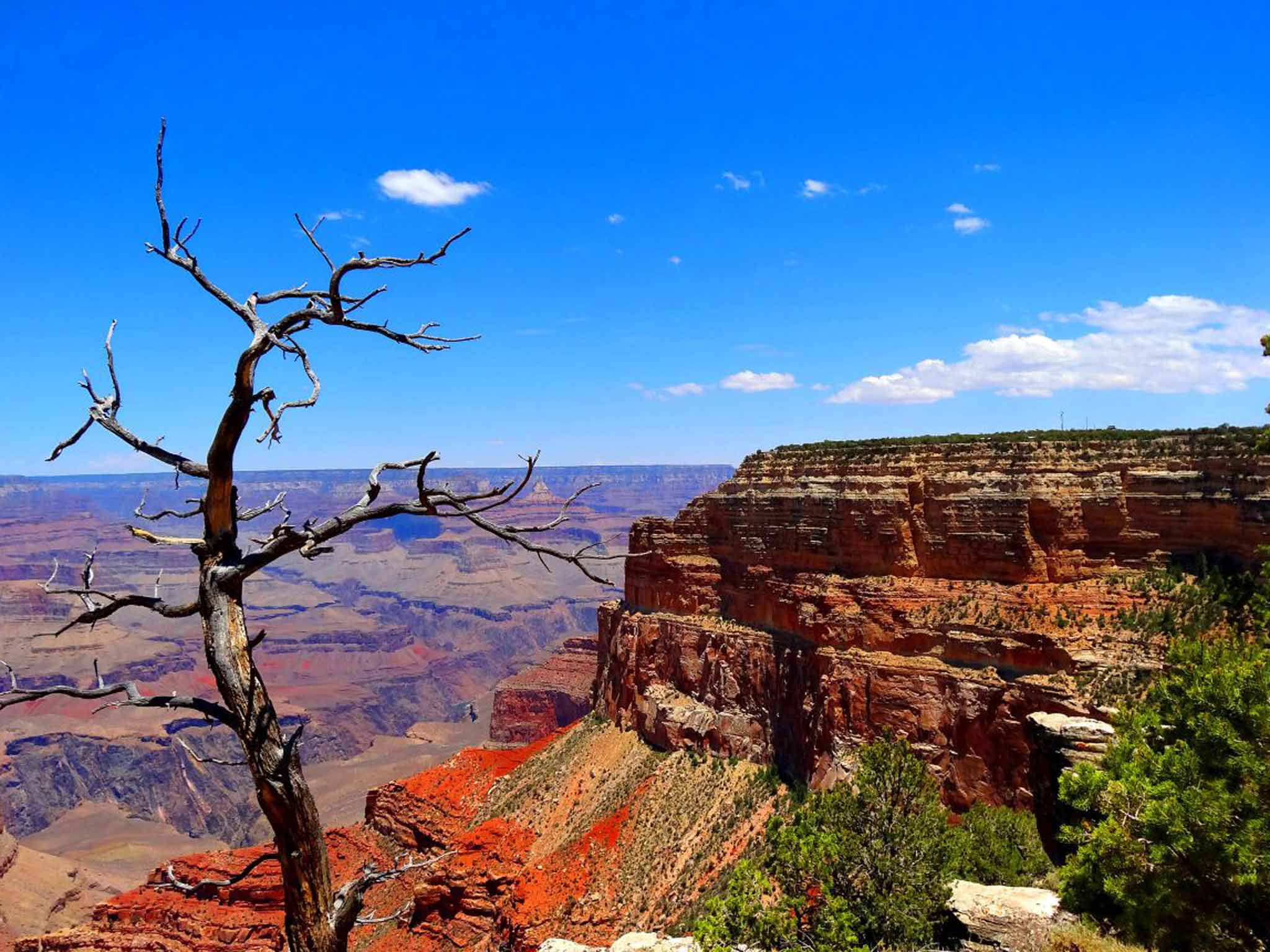 Grand Canyon