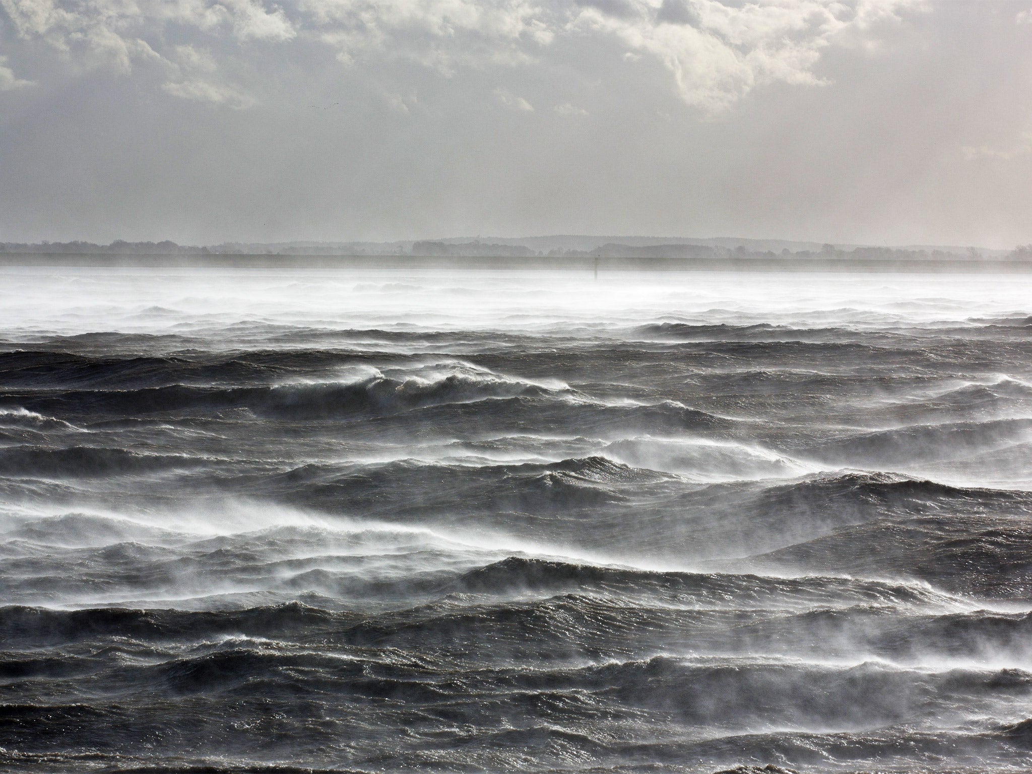 'The sea deftly erases clues to its own history'