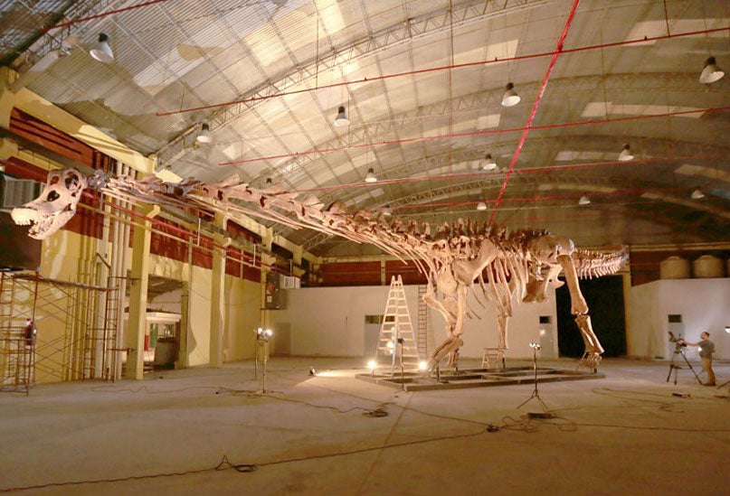 A model of the huge Titanosaur was recreated after the discovery