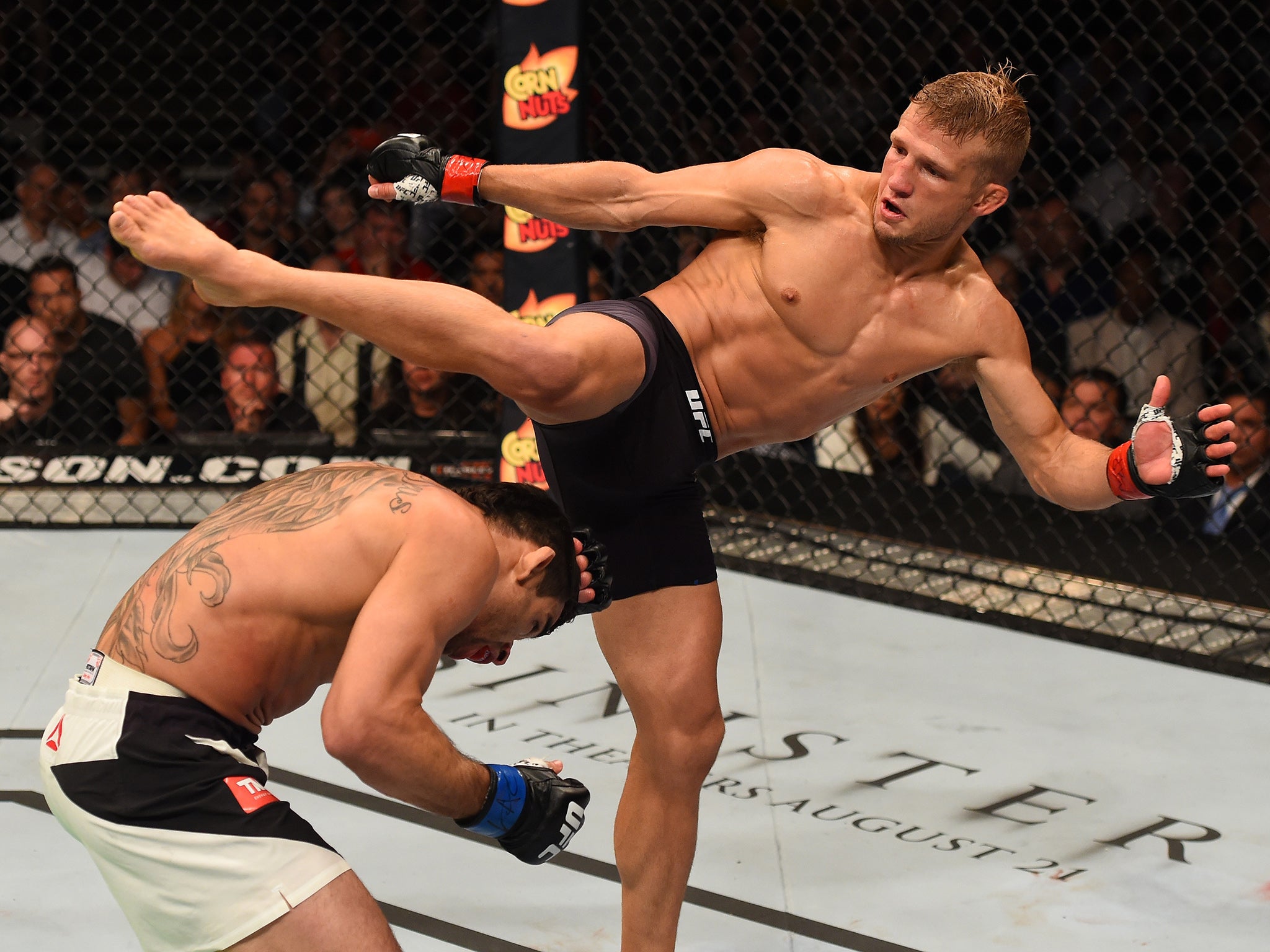 
TJ Dillashaw attepts to connect with a kick on Renan Barao (Jeff Bottari/ Zuffa-LLC)