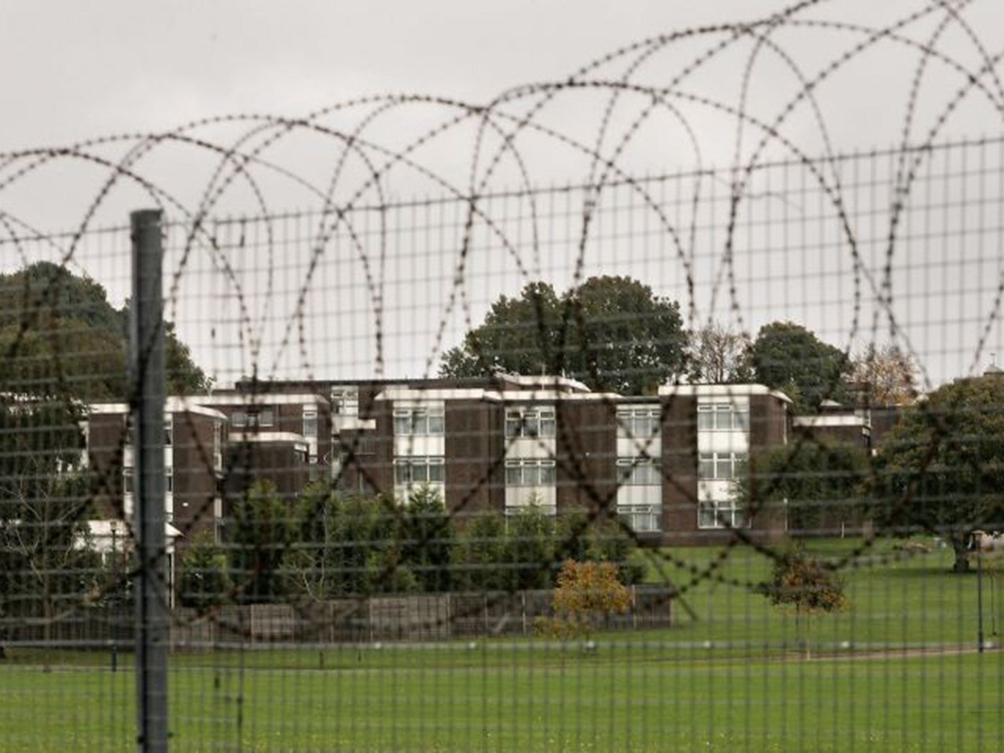 Four young recruits were found dead at the military training establishment between 1995-2002