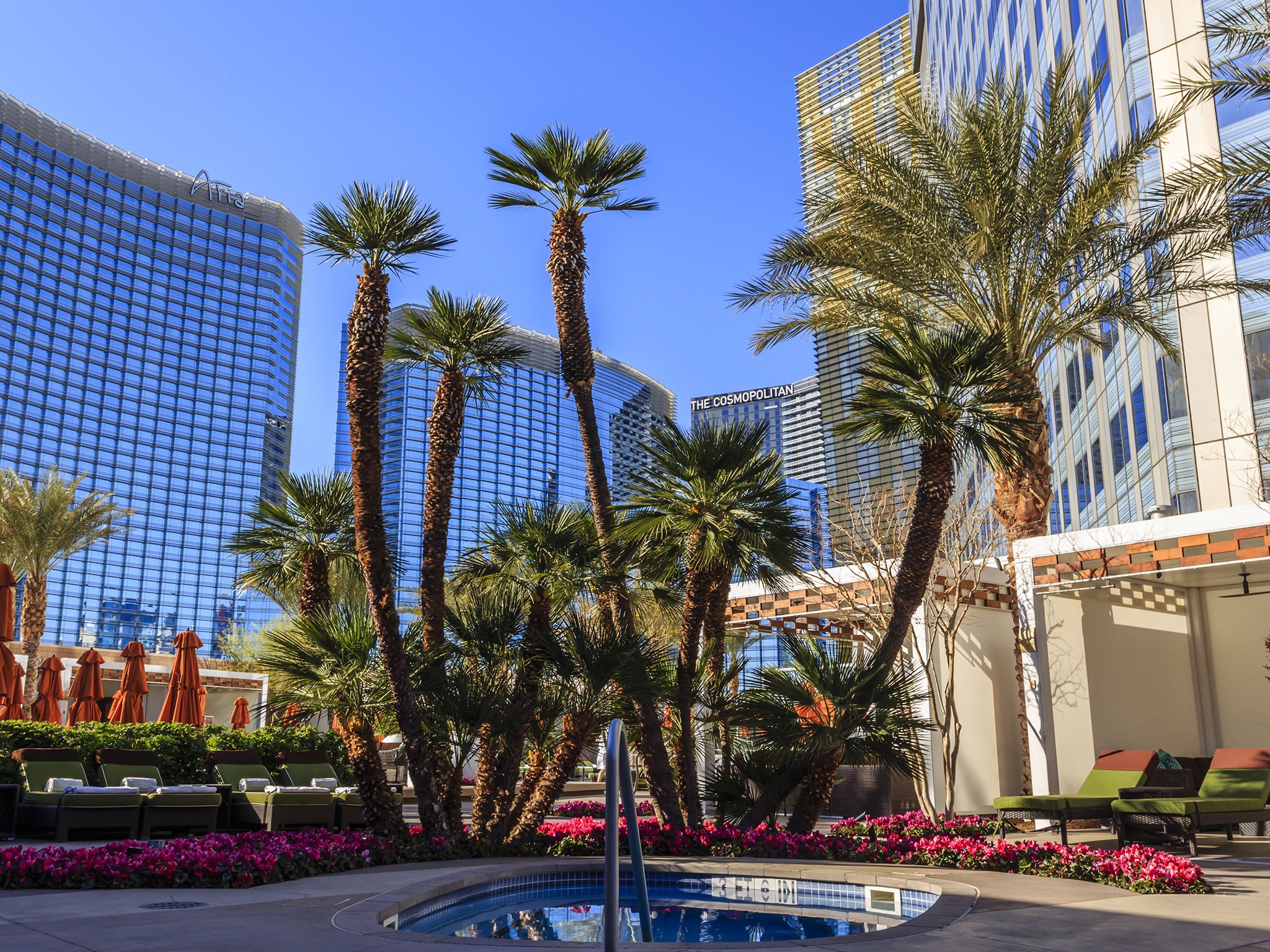 The rather swanky Mandarin Oriental in Las Vegas